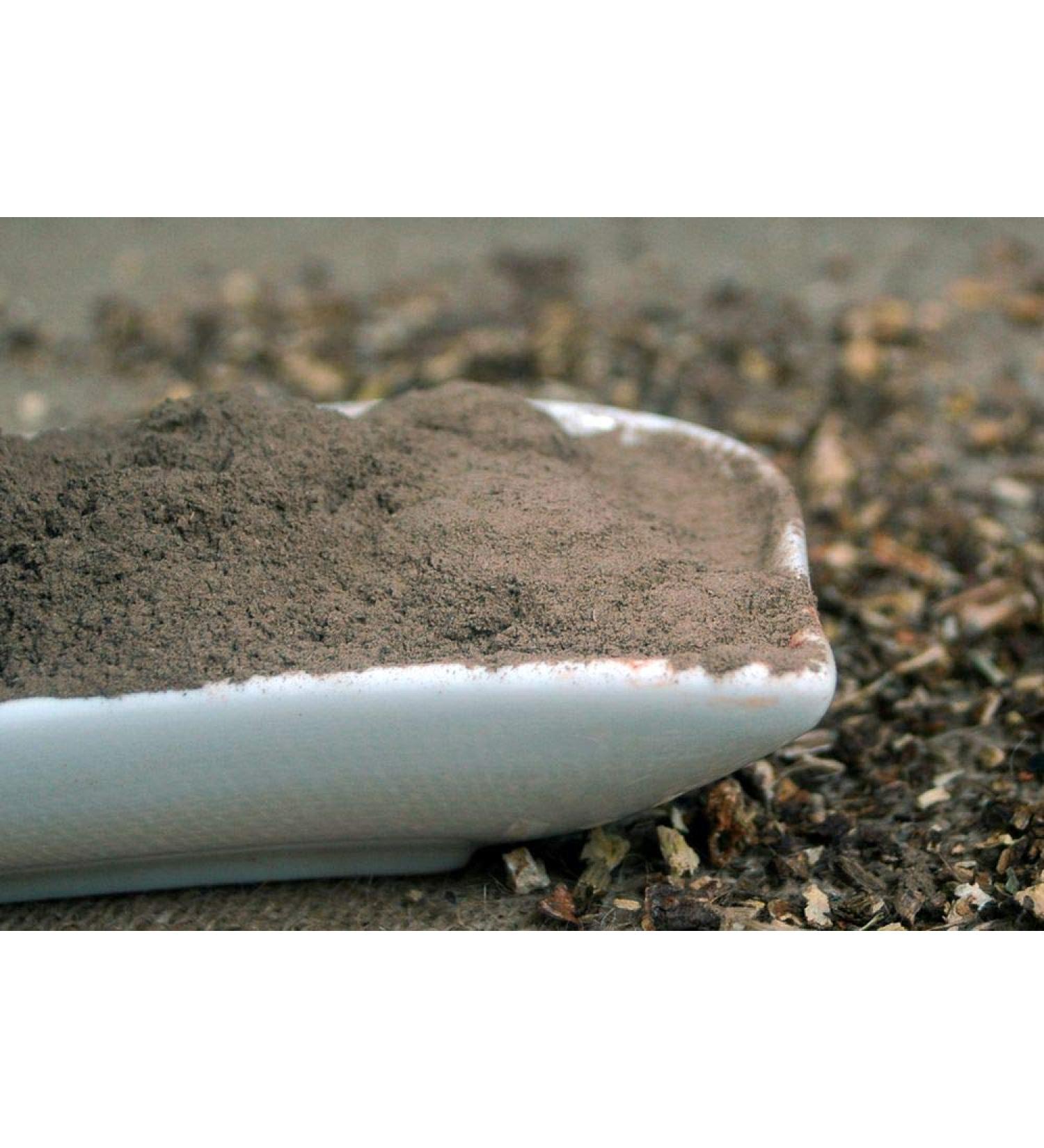 Krauterino24 Krauterino24 - Ground bertram root quantity: 1000 g