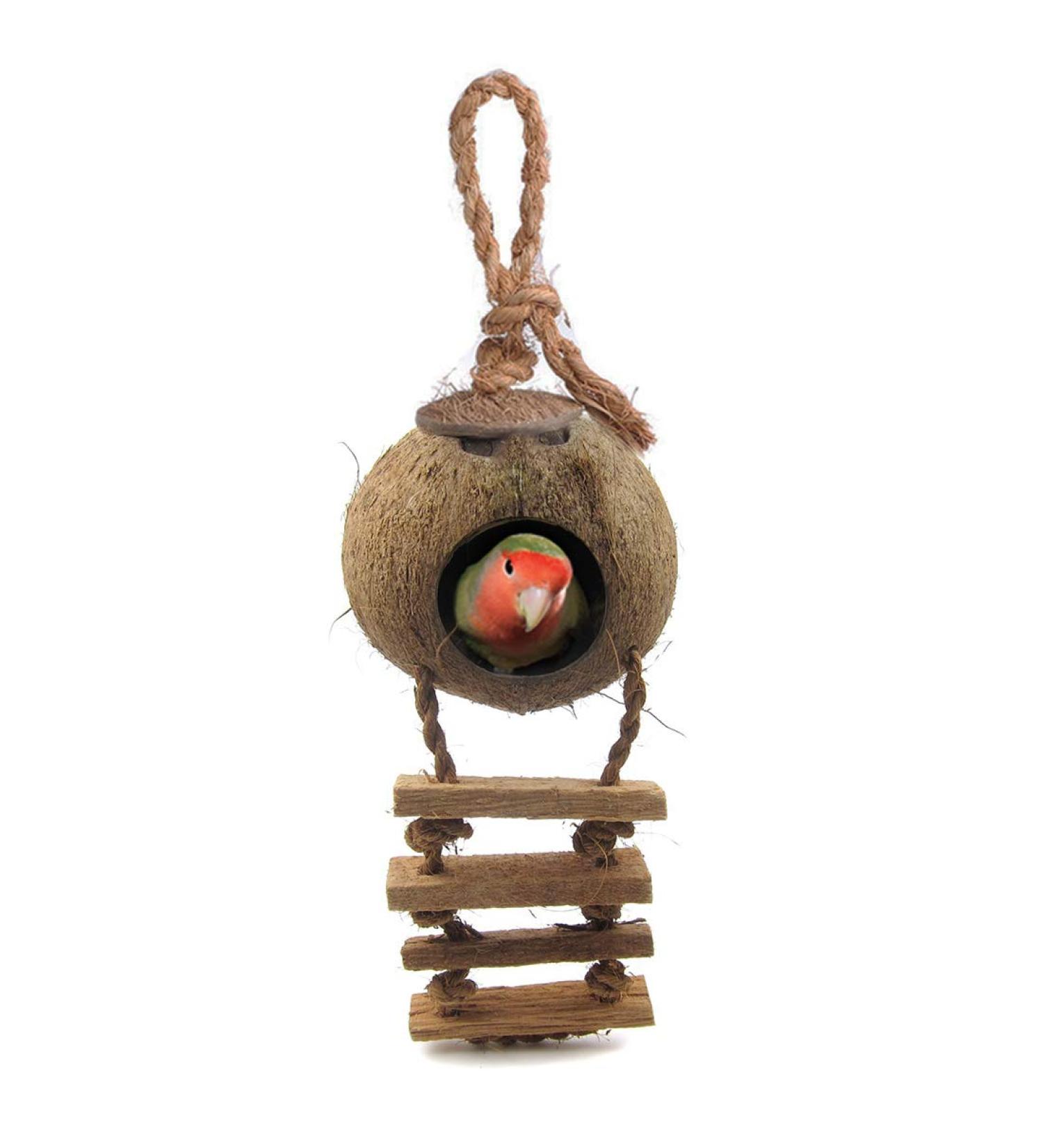 SunGrow Coconut Bird House with Ladder - Mini Avian Condo with Hanging Loop - Buy Online on GoSupps.com