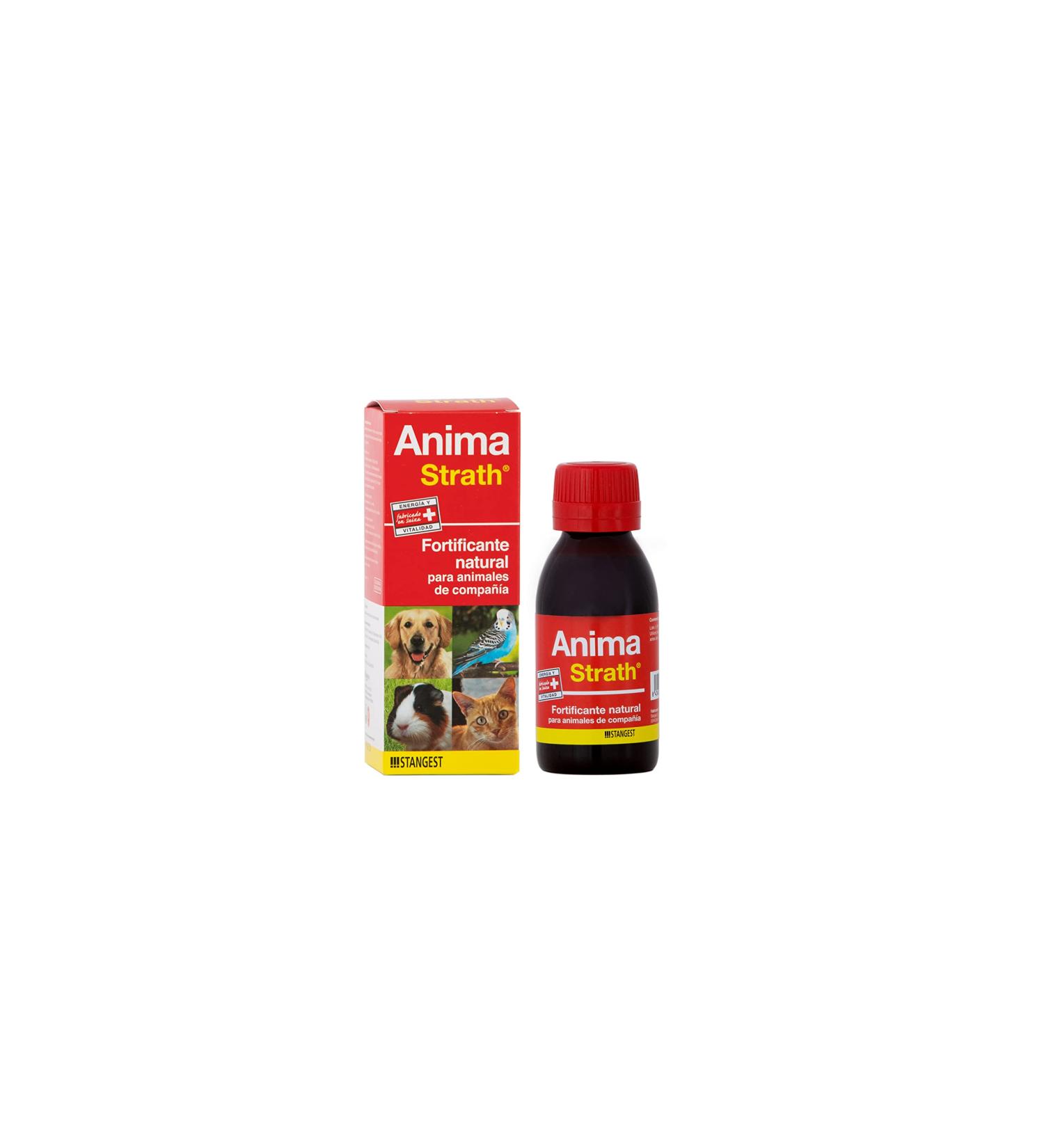 Anima Strath 100ml - Natural Immune Support & Energy Booster | International Shipping Available - Buy Online on GoSupps.com