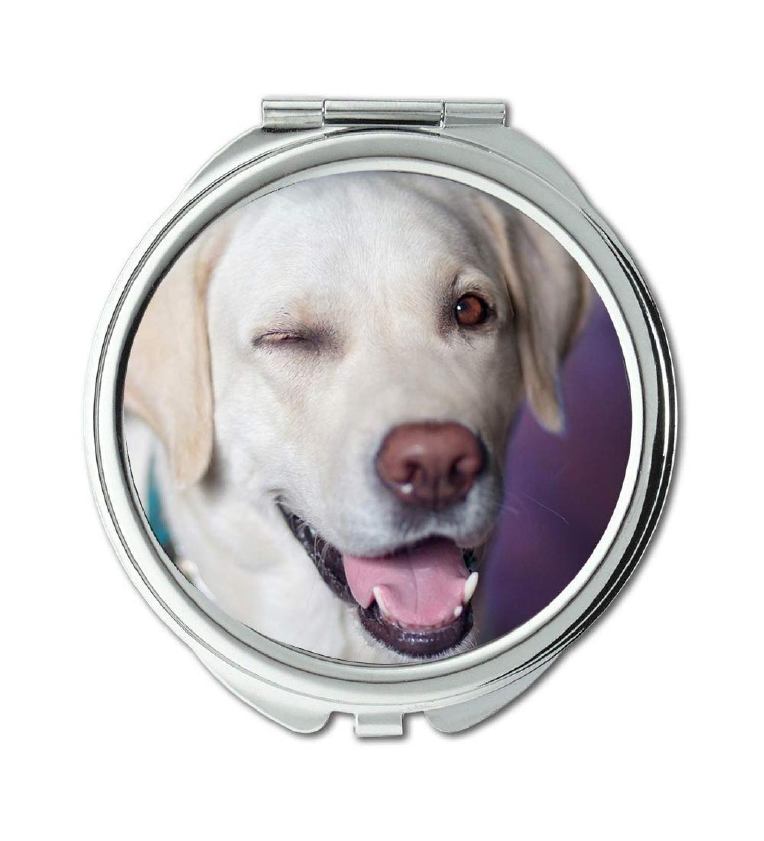 YENDOSTEEN Mirror makeup mirror Dog Labrador Jolly Winks View Closeup pocket mirror portable mirror - Buy Online on GoSupps.com