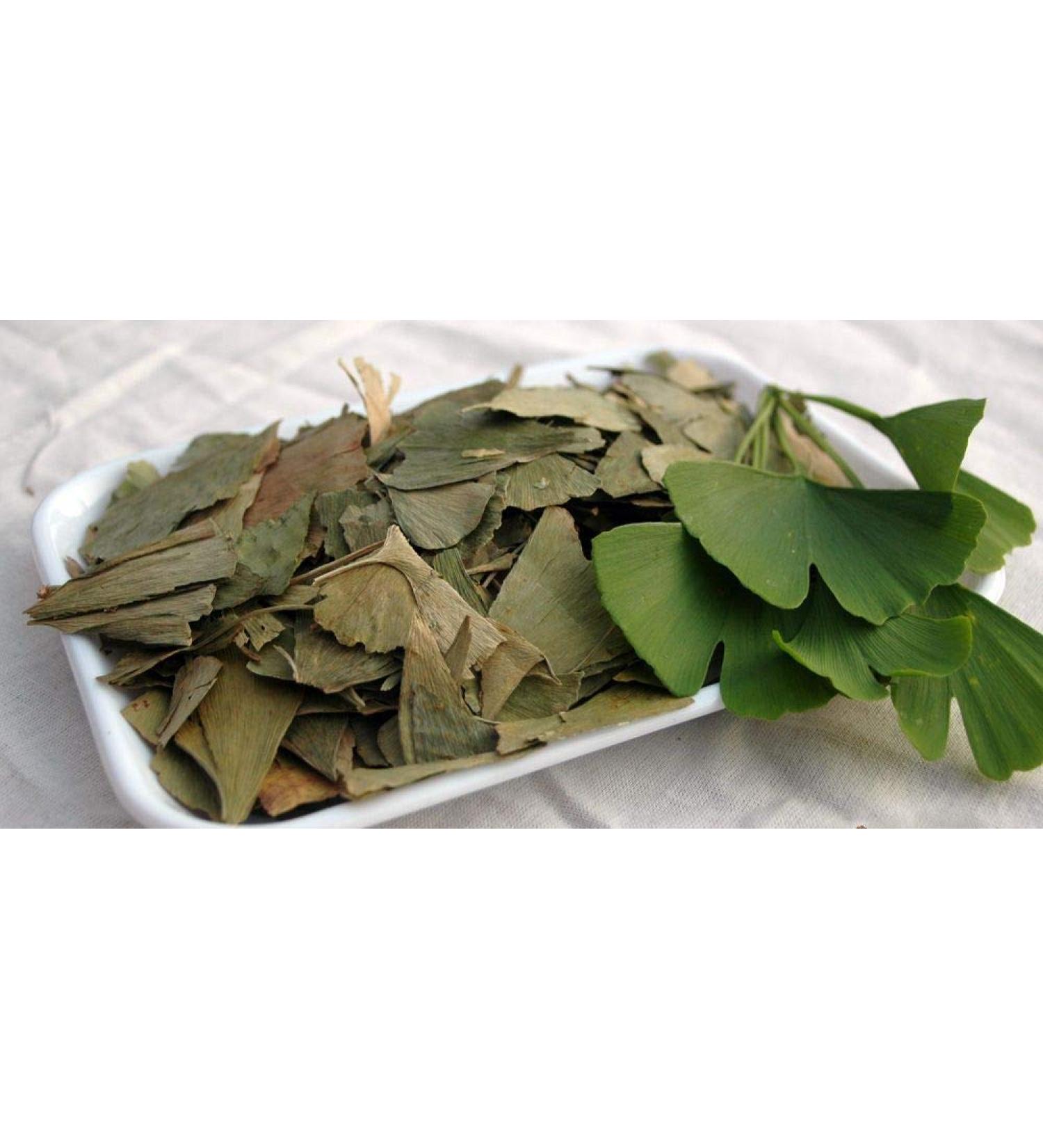 Krauterino24 - Ginkgo leaves whole quantity: 500g