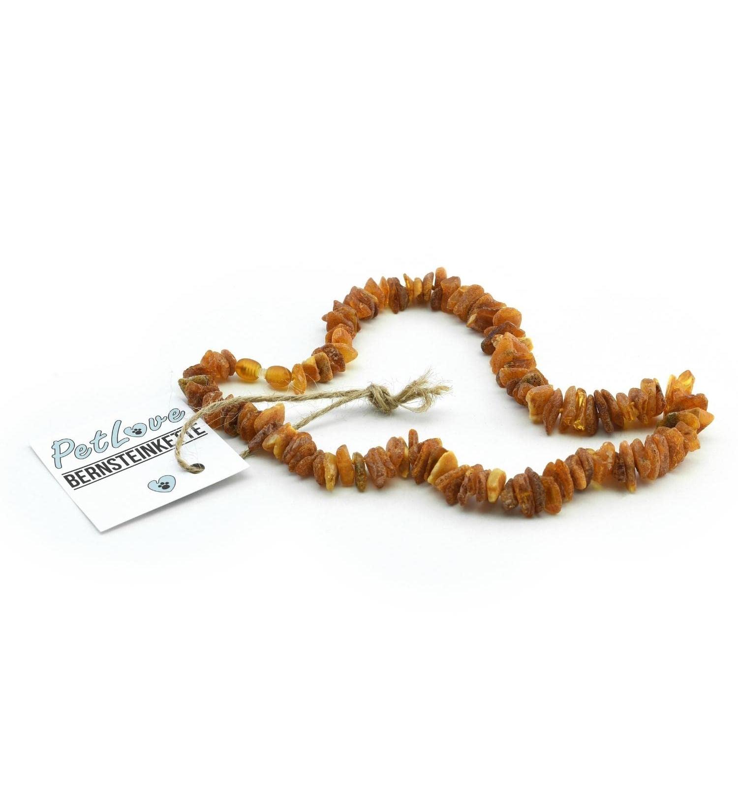 PetLove 100% Baltic Amber Necklace for Dogs & Cats - 20cm Collar for Natural Wellness - Buy Online on GoSupps.com