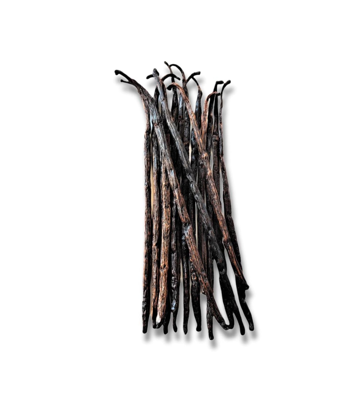 Madagascar Extract Grade-B Bourbon Vanilla Beans For Extract Making By Count (15 Beans (Pack of 1)) - Buy Online on GoSupps.com