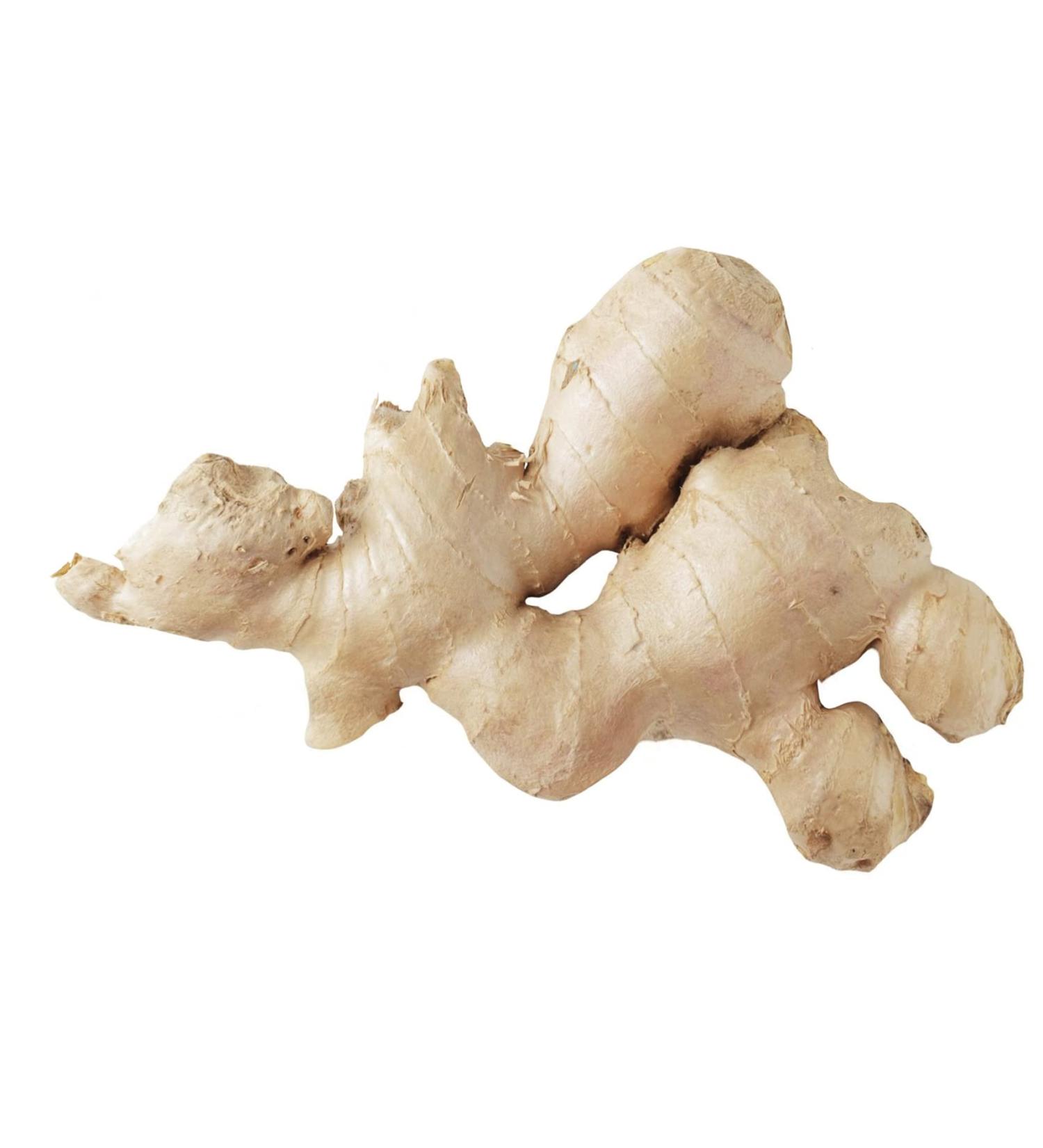 Gingembre Frais - Lot de 1 2 5 10 et 20kg - Livraison Gratuite France - Exp dition depuis France par la st Bo Time (0.5 Kilogrammes)