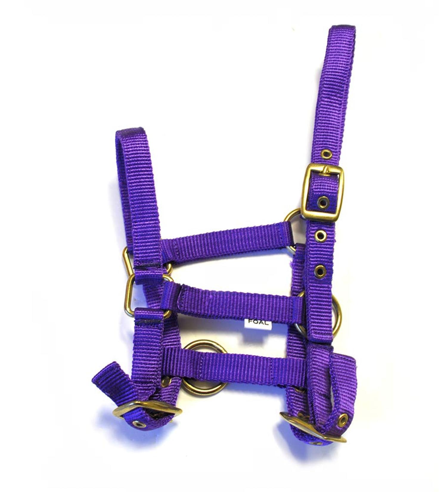 Rhinegold Nylon Foal Headcollar - Purple Purple One Size