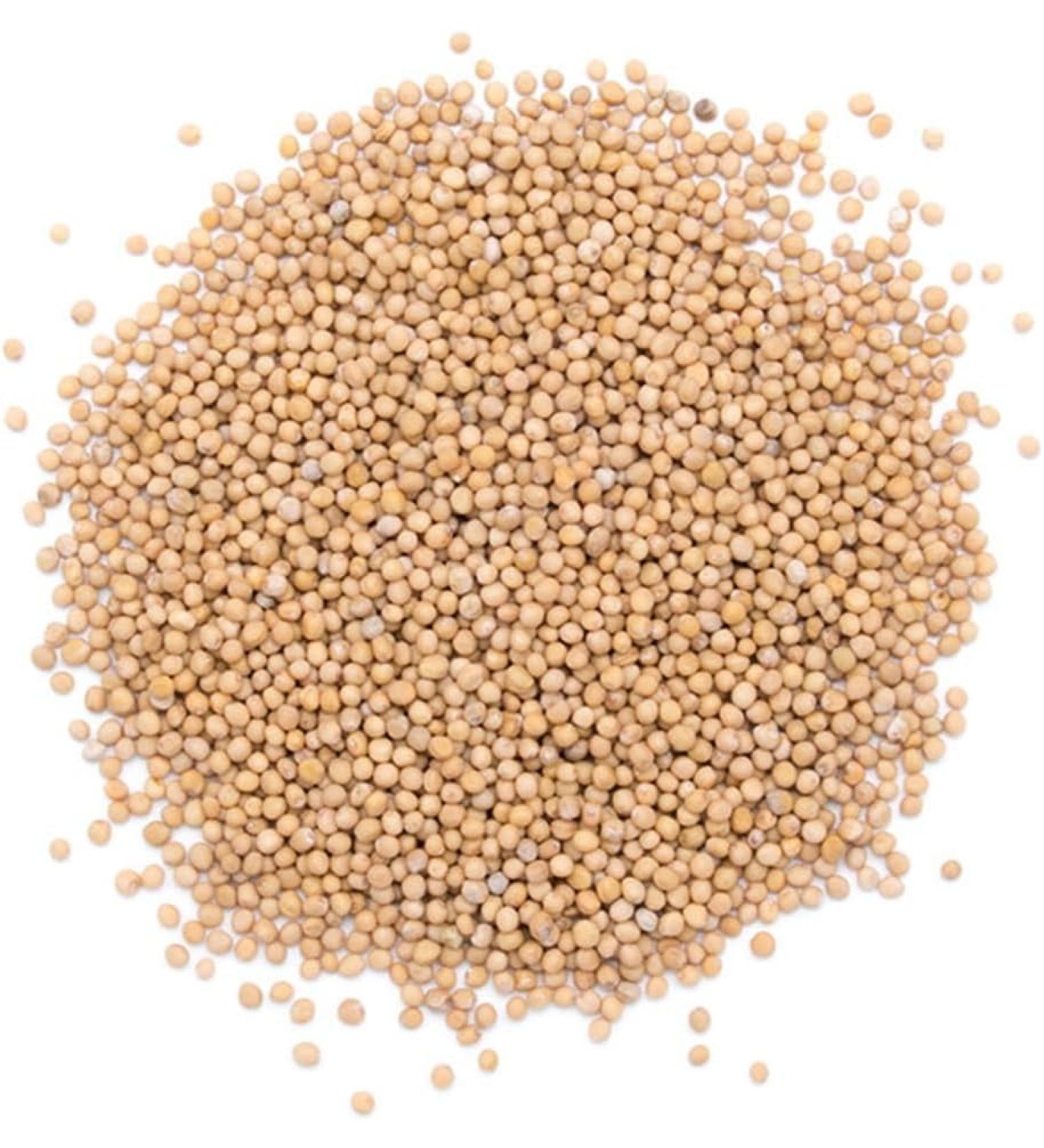 Mustard Seeds 100g Packet | All Natural Spice | Ideal for Pickles Curries Marinades Sauces and Home Cooking