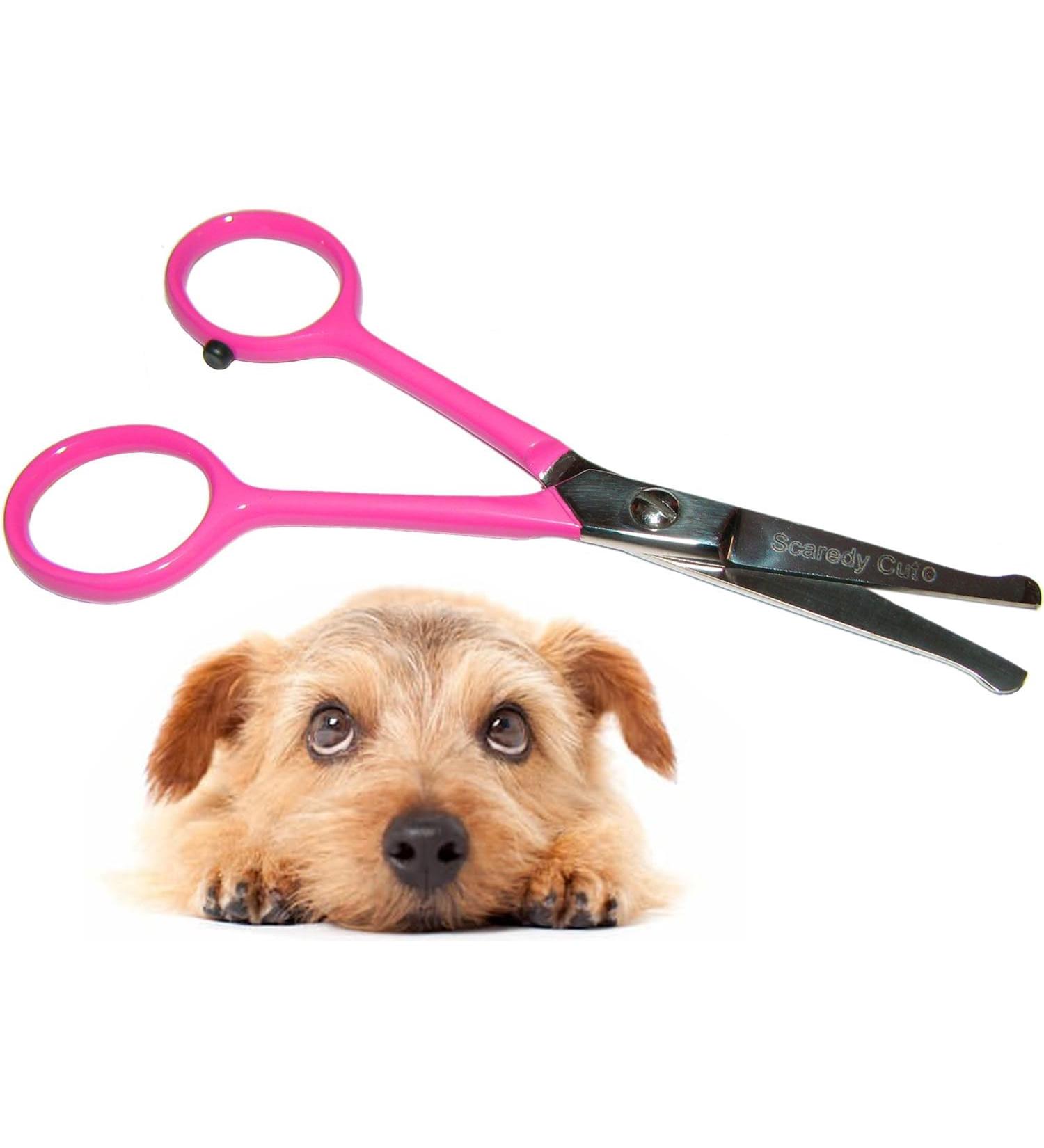 Tiny Trim - Ball-Tipped Small Pet Grooming Scissor - 4.5" Ear Nose Face Paw - for Cats Dogs Pets Pink Tiny Trim Safety Scissor Pink - Buy Online on GoSupps.com