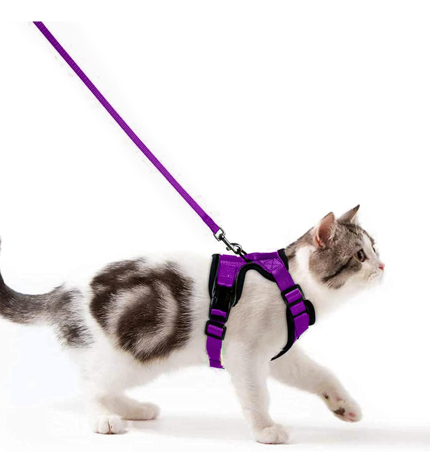 Breakproof Cat Leash Set & Adjustable Soft Vest for Kittens - Reflective Stripes & Purple Dishes (Small) - Buy Online on GoSupps.com