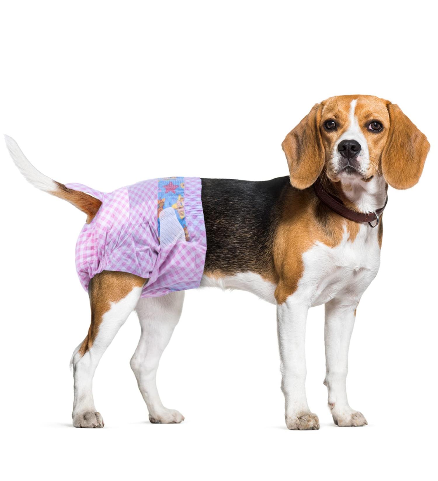 Flying Paws Disposable Dog Diapers - Adjustable Size for Dogs & Cats | 10-40 Pack Available - Buy Online on GoSupps.com