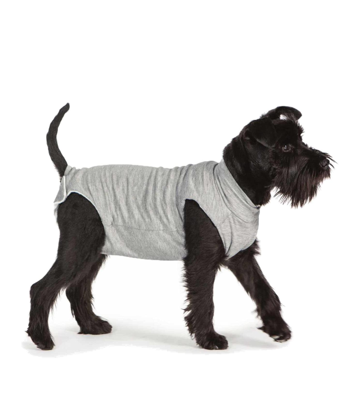 Fashion Dog Cura Pets Surgical & Health Bodysuit for Dogs & Cats - 75 cm | International Shipping Available - Buy Online on GoSupps.com