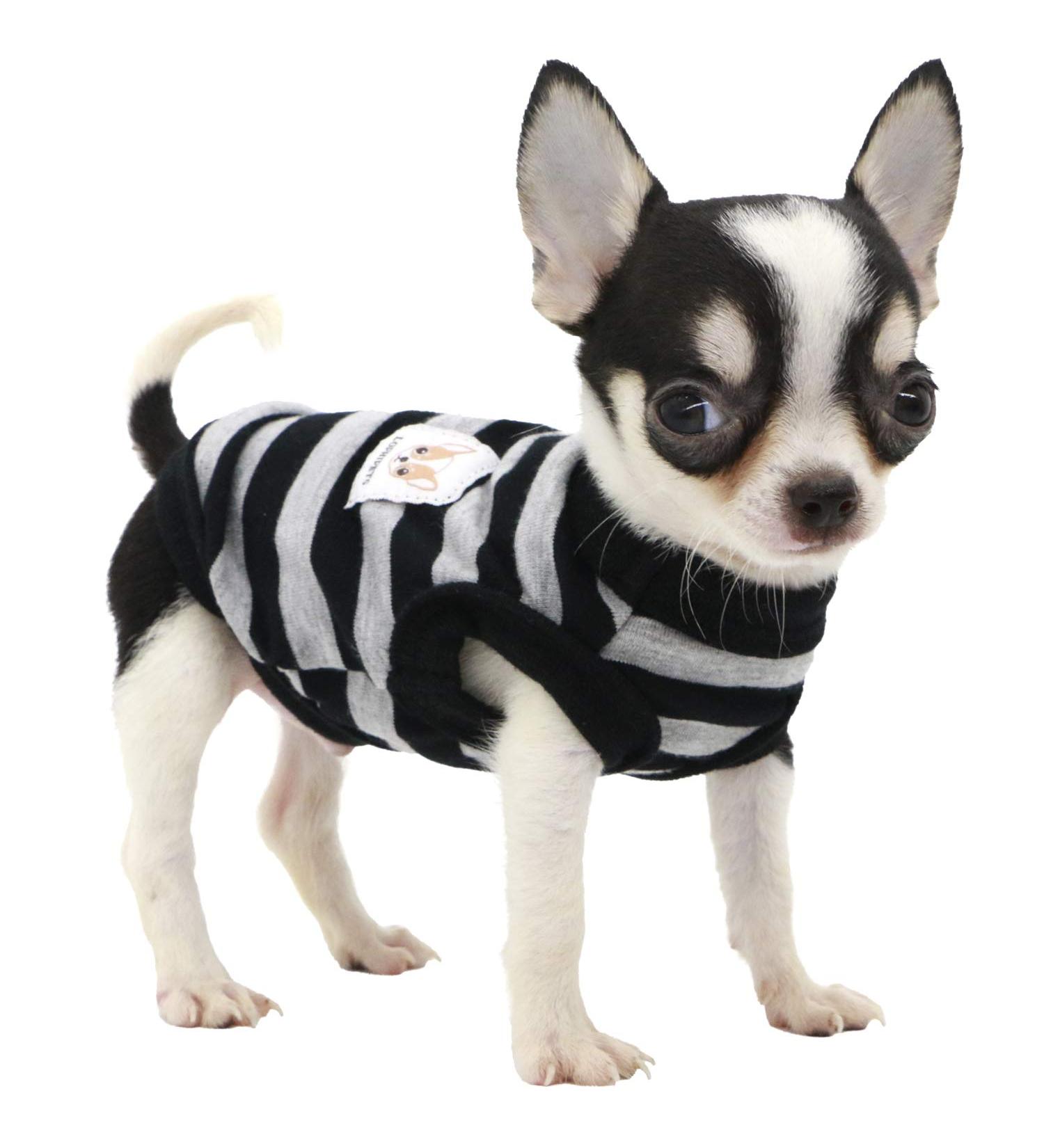 Lovely LOPHIPETS 100% Cotton Striped Dog Shirt-Black & Gray Stripes, XXS for Chihuahua & Small Dogs (0.5-1.2 lbs) - Buy Online on GoSupps.com