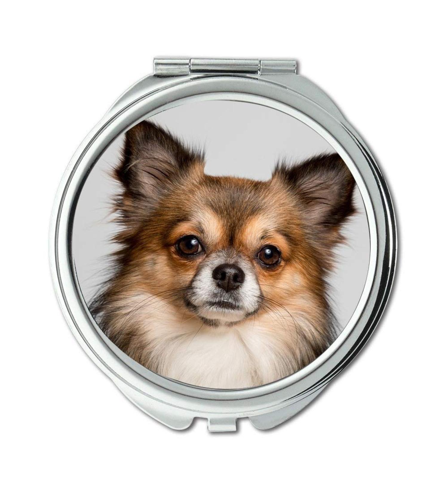YENDOSTEEN Mirror Travel Mirror Chihuahua Dog Cute Pets Small Chiwawa Small Dog pocket mirror portable mirror - Buy Online on GoSupps.com