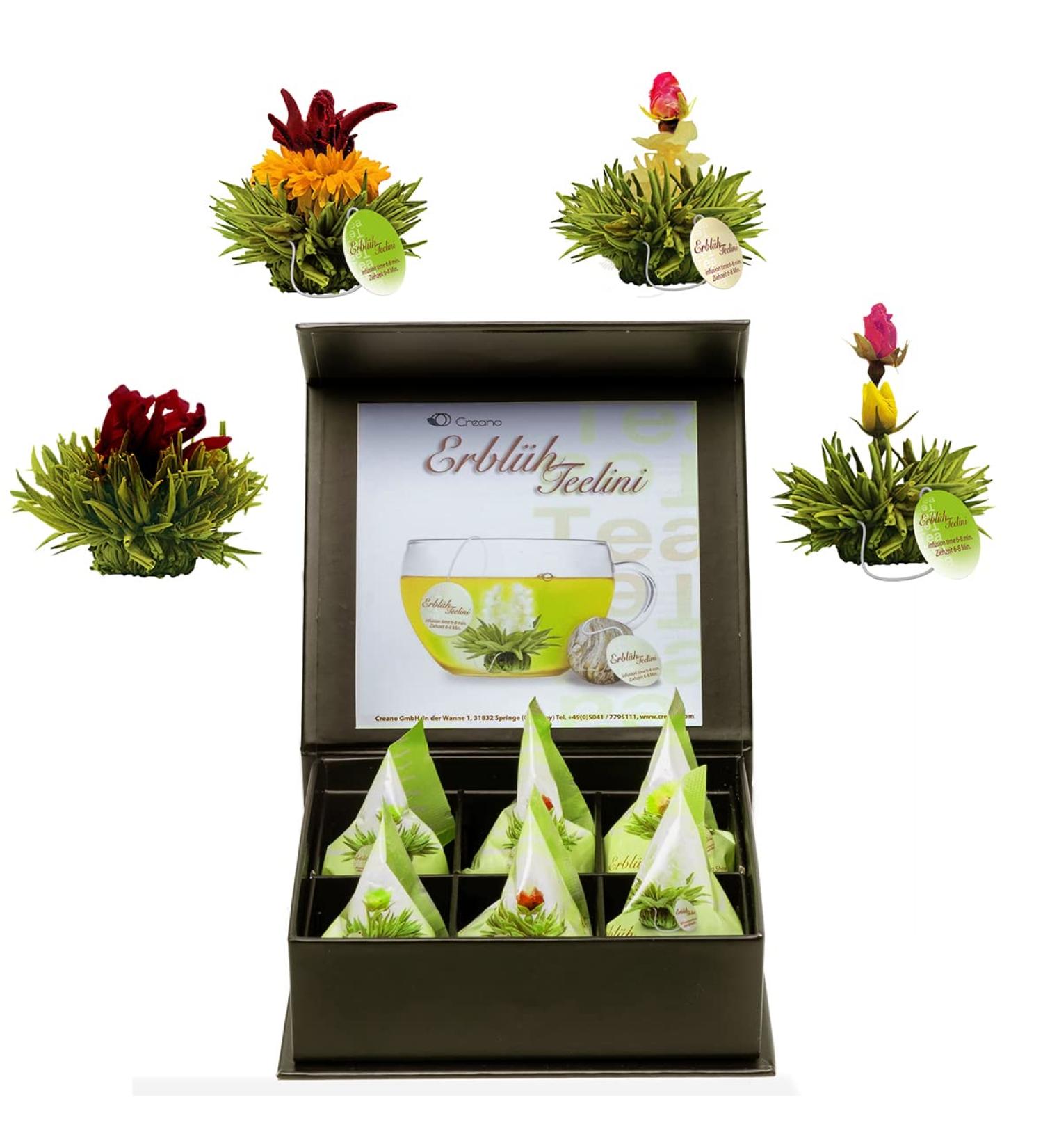 Creano 6 Teablumen Gift Box - Premium Green Tea Variety in Elegant Magnetic Box | 4 Types of Tealinis | Perfect Gift Idea - Buy Online on GoSupps.com