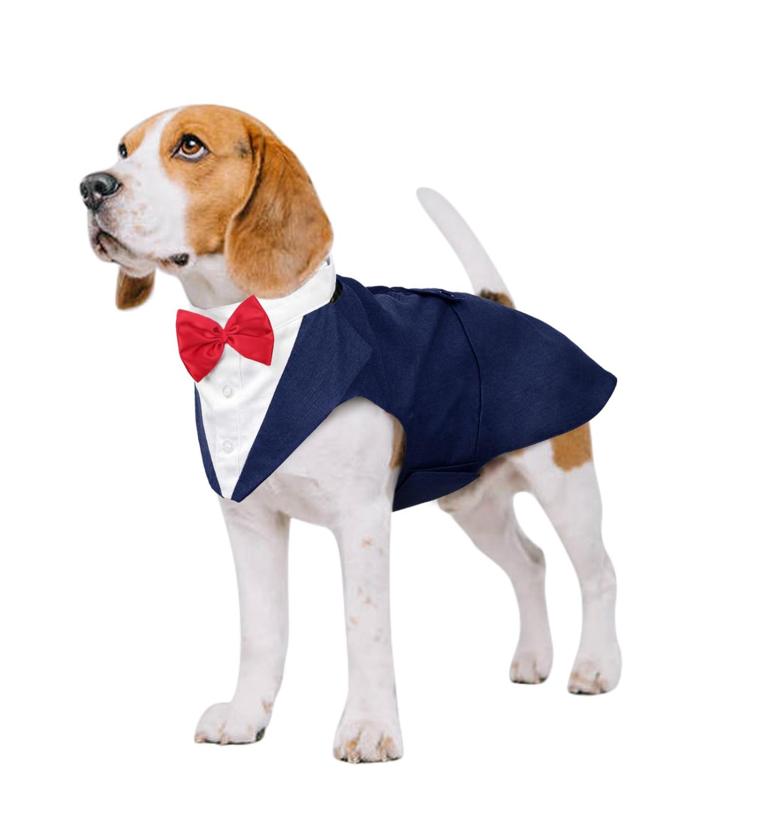 Kuoser Dog Smoking Suit & Bandana Set - Stylish Pet Formal Clothes for Dogs | Wedding Halloween & Birthday Party Costumes | S-XXL 42cm Blue - Buy Online on GoSupps.com