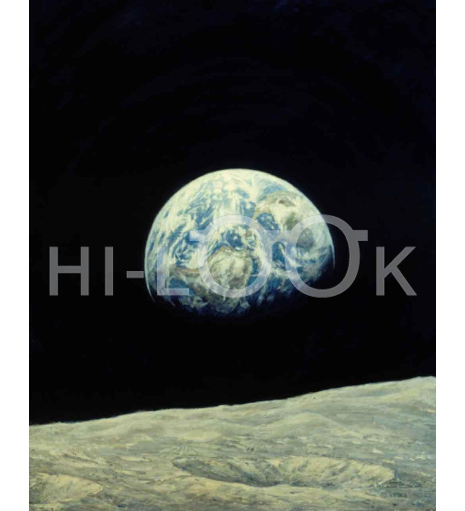 Hi-Look Microfiber Cleaning Cloth - Mother Earth