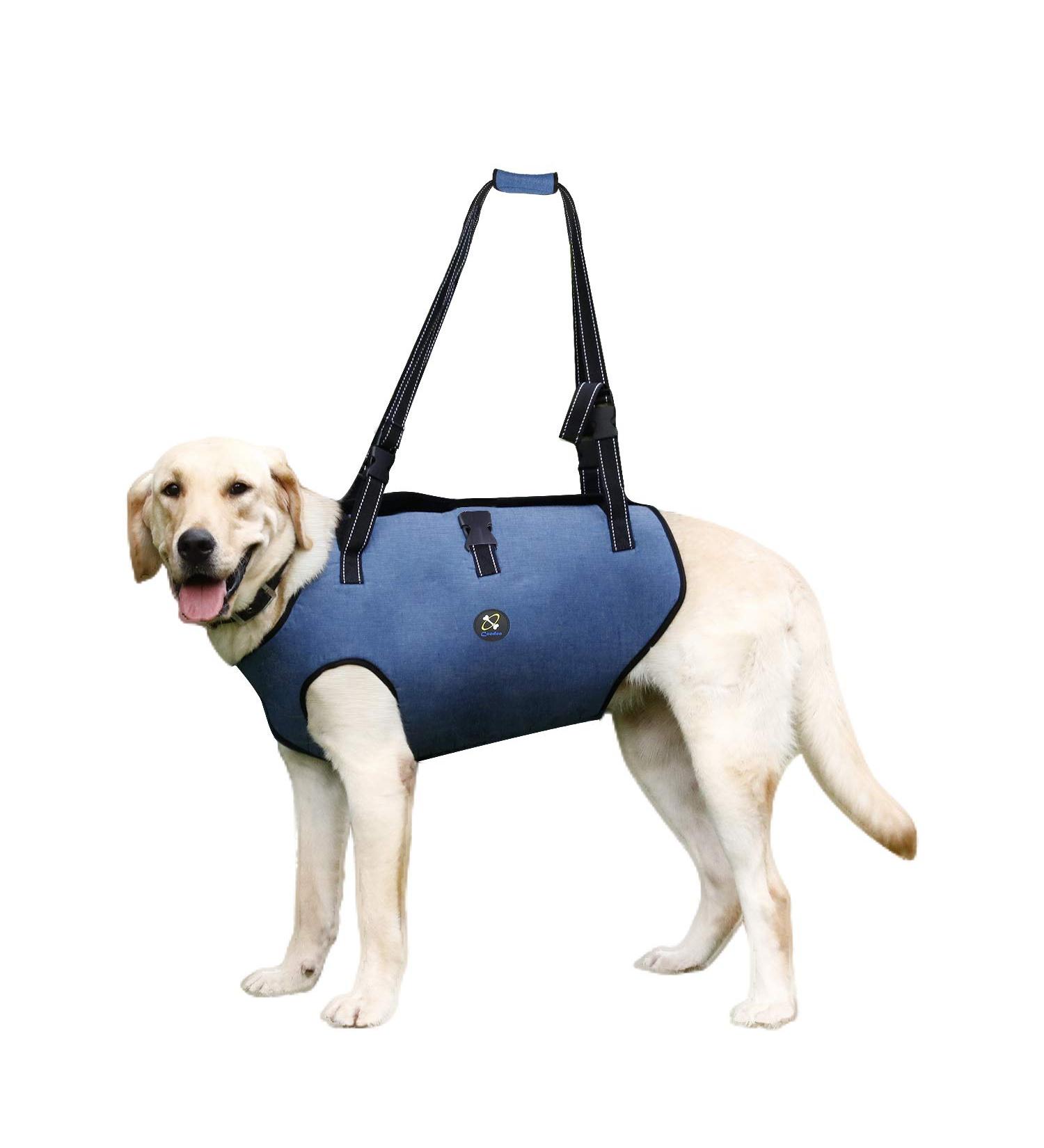 COODEO XL Dog Harness - Padded Breathable Support & Rehabilitation Belt for Pets with Joint Injuries | Adjustable Lifting Straps (Blue) - Buy Online on GoSupps.com