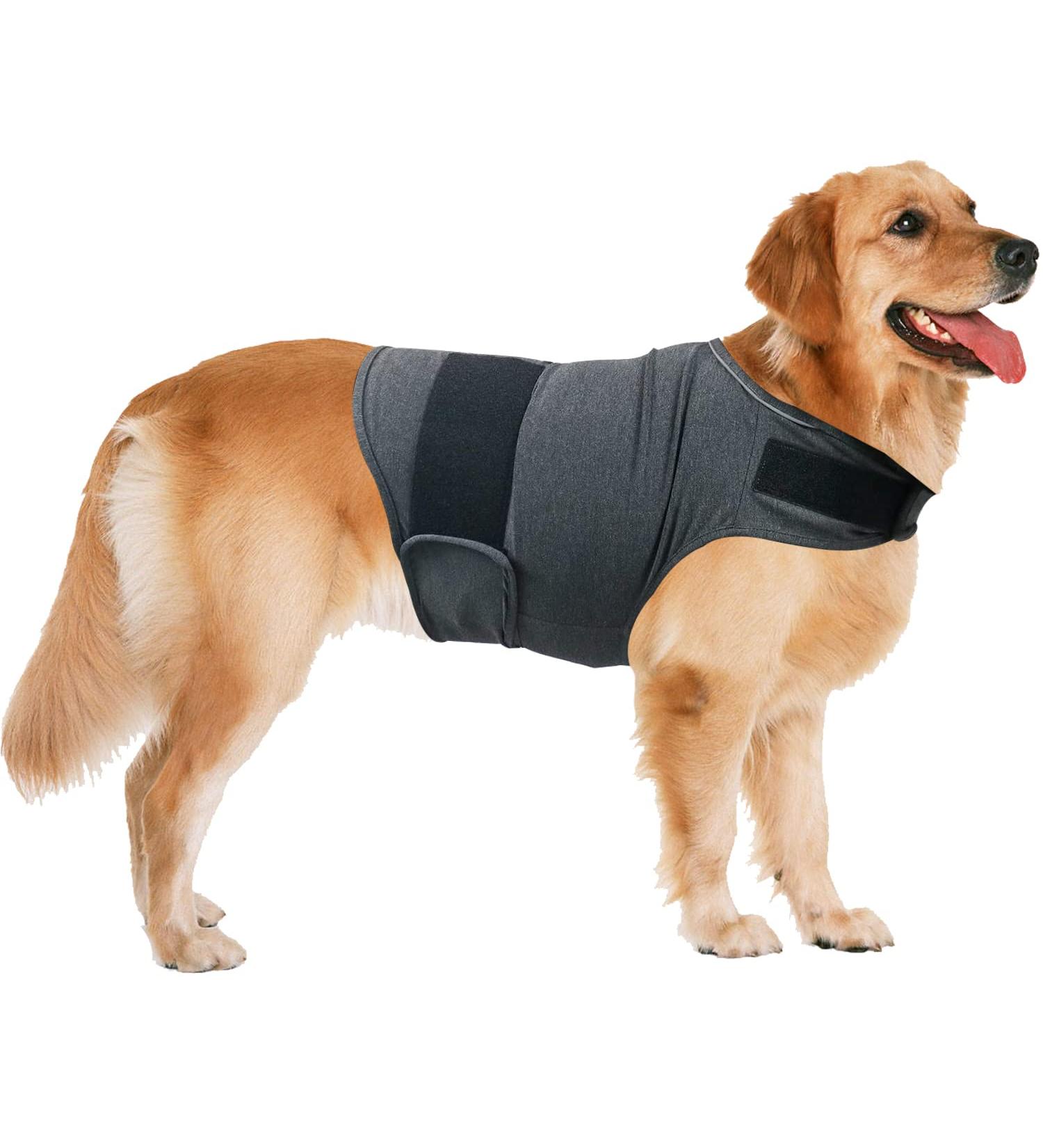 Qiyadin Adjustable Dog Anxiety Vest - Soothing Jacket for Thunderstorms Fireworks & Travel | Stress Relief for Small to Medium Dogs - Buy Online on GoSupps.com