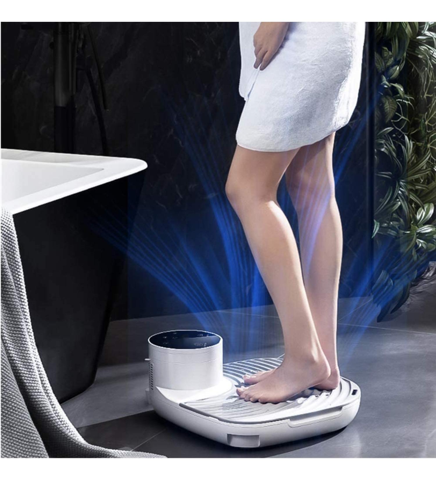 Body Heater Dryer with Gravity Sensor Natural Warm Air Wind and Cool Wind Whole Body Waterproof Blow Dryer Pet Dry Good for Bathroom/Swimming Pool - Buy Online on GoSupps.com