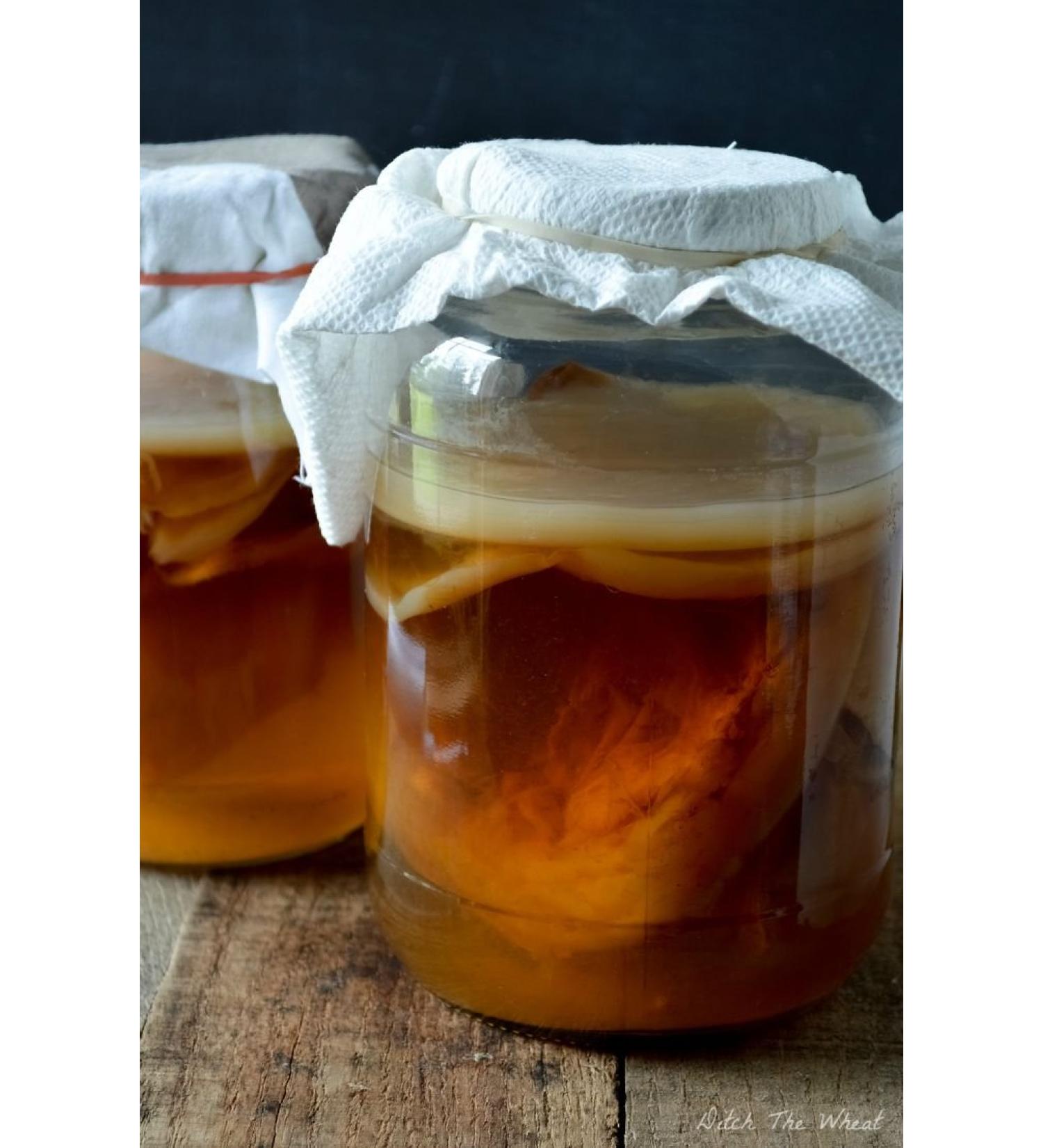 RawCultures Medium Certified Organic Kombucha Scoby with Powerful Liquid Starter Lab Tested by UKAS LAB (ALS Global) - Buy Online on GoSupps.com