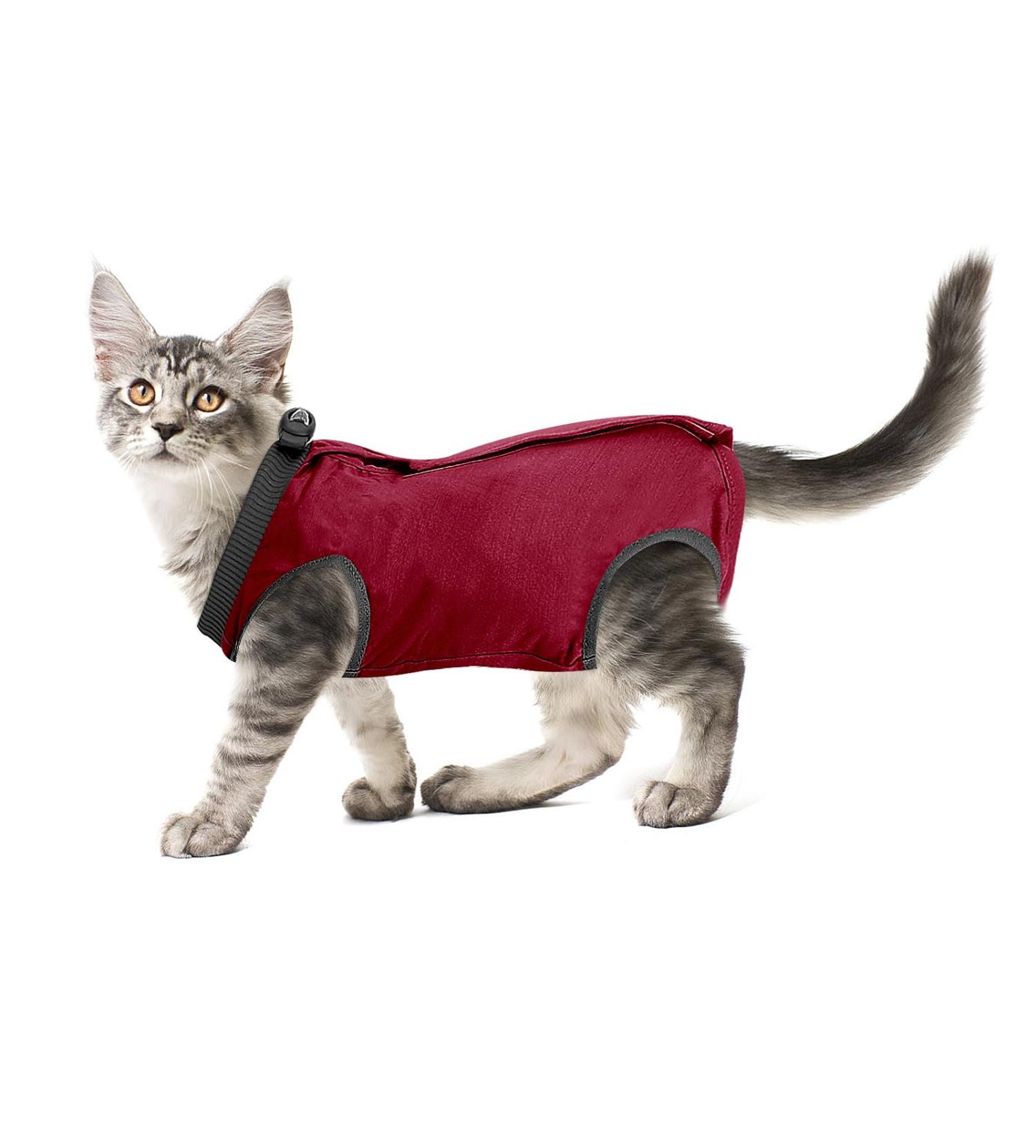 Cobee Professional Recovery Suit for Cats - Ideal for Abdominal Wounds & Surgery | E-Neck Band Alternative | Size S Red - Buy Online on GoSupps.com