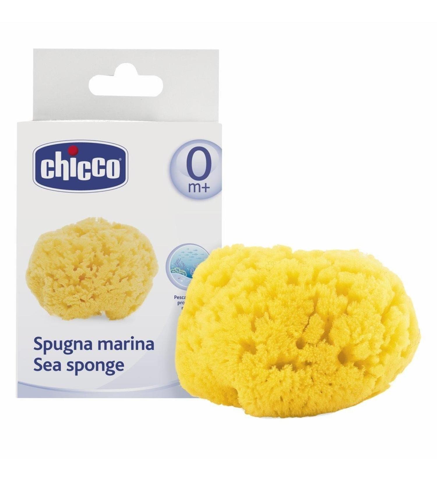 Chicco 100% Natural Sea Sponge for Babies - 0 Months - Buy Online on GoSupps.com