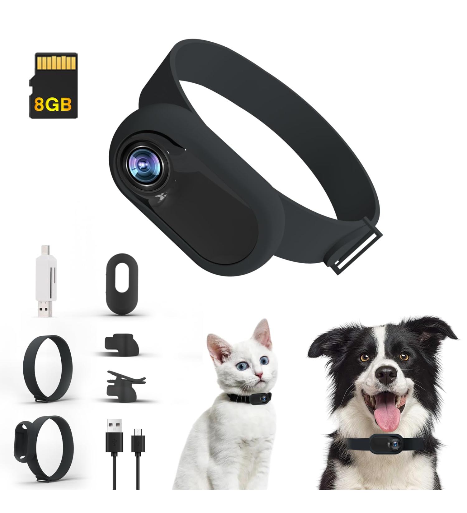 TwoWin Cat Camera Collar HD 1080P - Wireless Dog & Cat Action Camera with 8GB SD Card - Pet Supplies Gift for Cats & Dogs - Buy Online on GoSupps.com