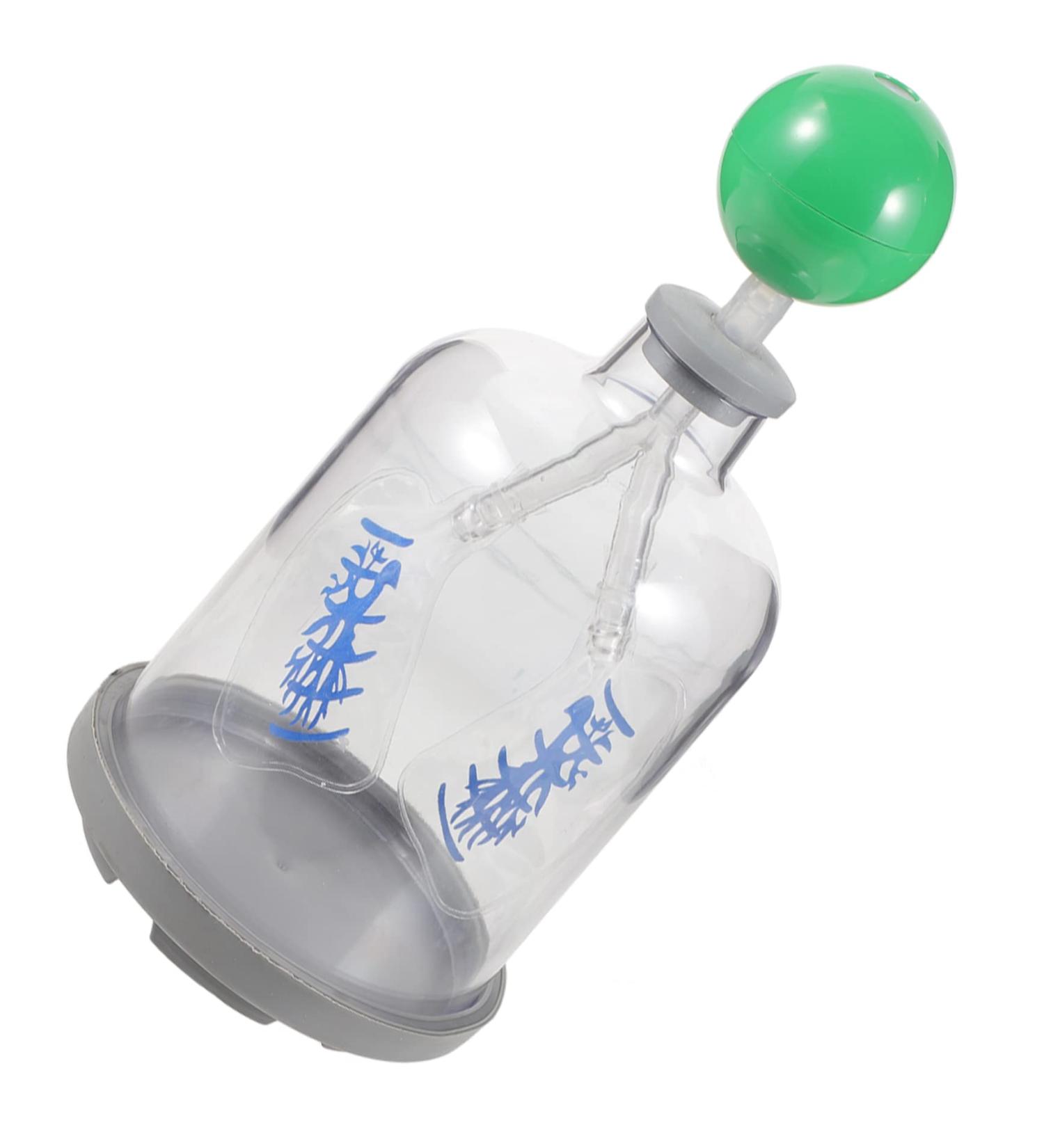 SOLUSTRE Lung Breathing Model - Human Body Organs Teaching Aid - Buy Online on GoSupps.com