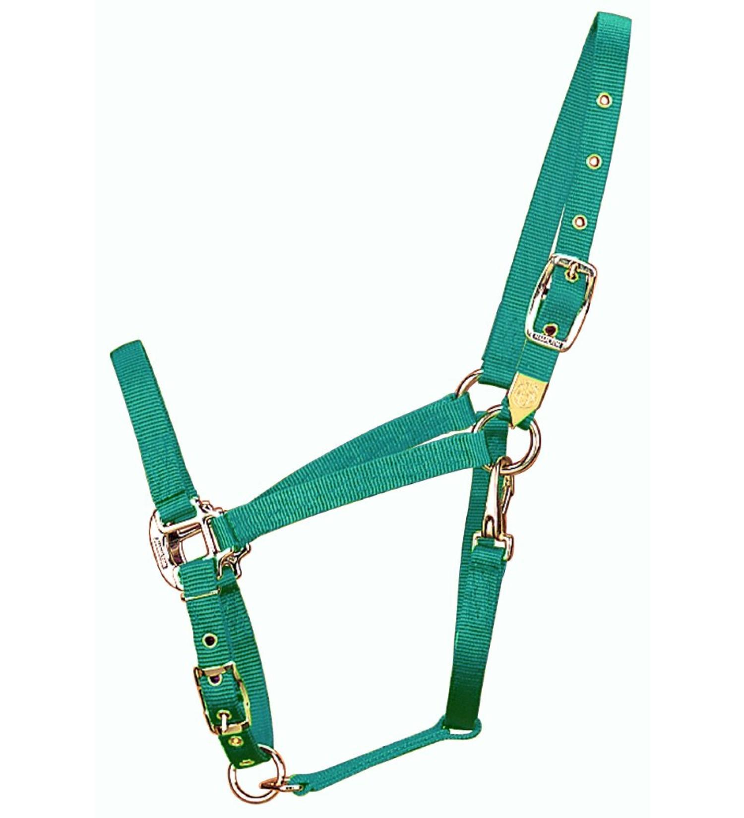 Hamilton 3/4-Inch Nylon Arabian Horse With Adjustable Chin and Throat Snap Average 800 to 1100 Pounds Green Average 800 to 1100 Pounds Green