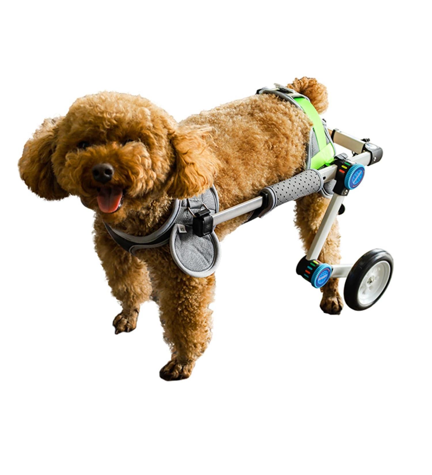 Adjustable Dog Wheelchair Foldable Dog Wheelchair for Back Legs for Back Legs Disability Paralysis Injury Hindlimb Weakness Pet Easy Assemble & Light Weight (Size : XXS) - Buy Online on GoSupps.com