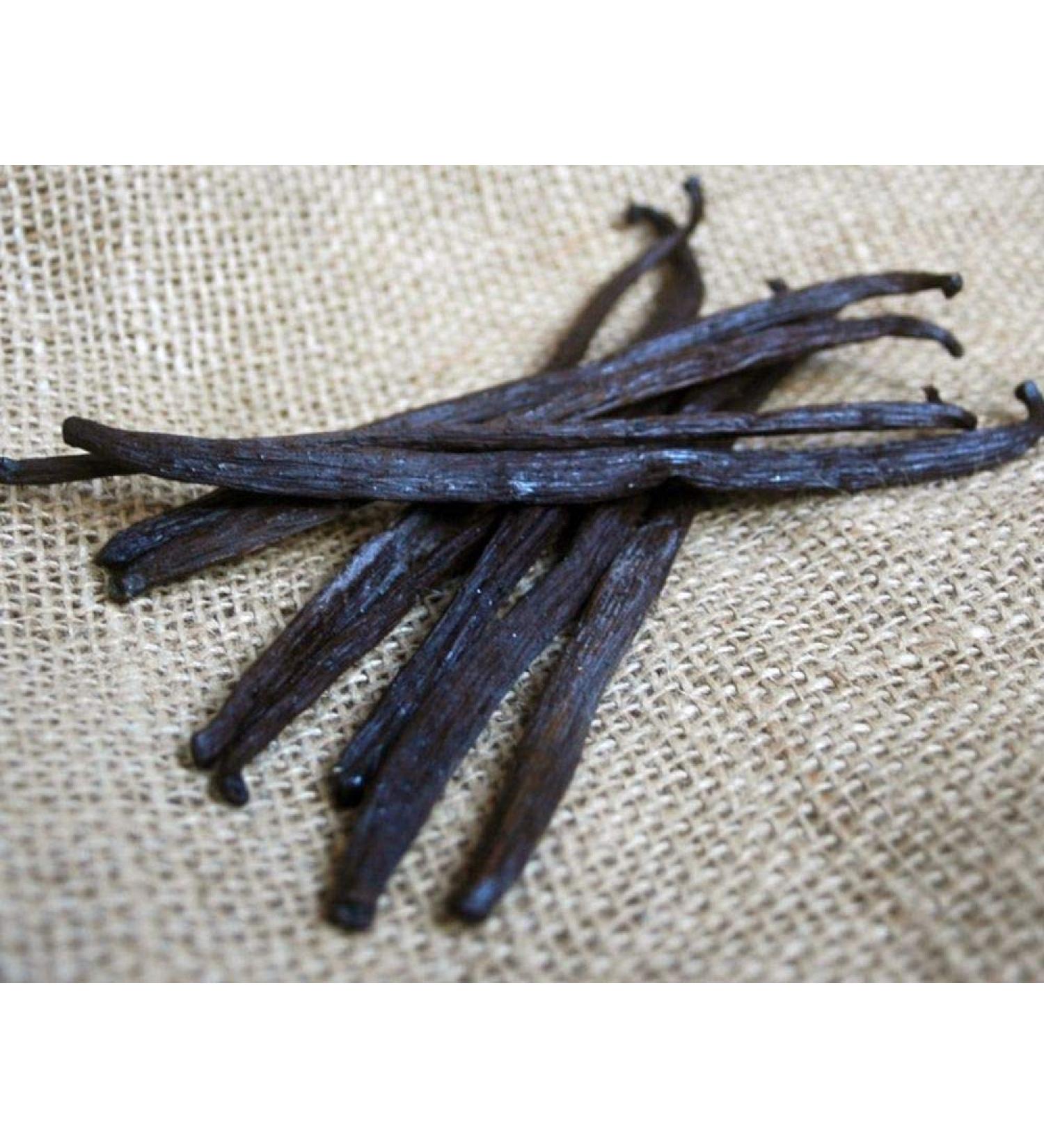 Krauterino24 Krauterino24 - Quantity: 50 g