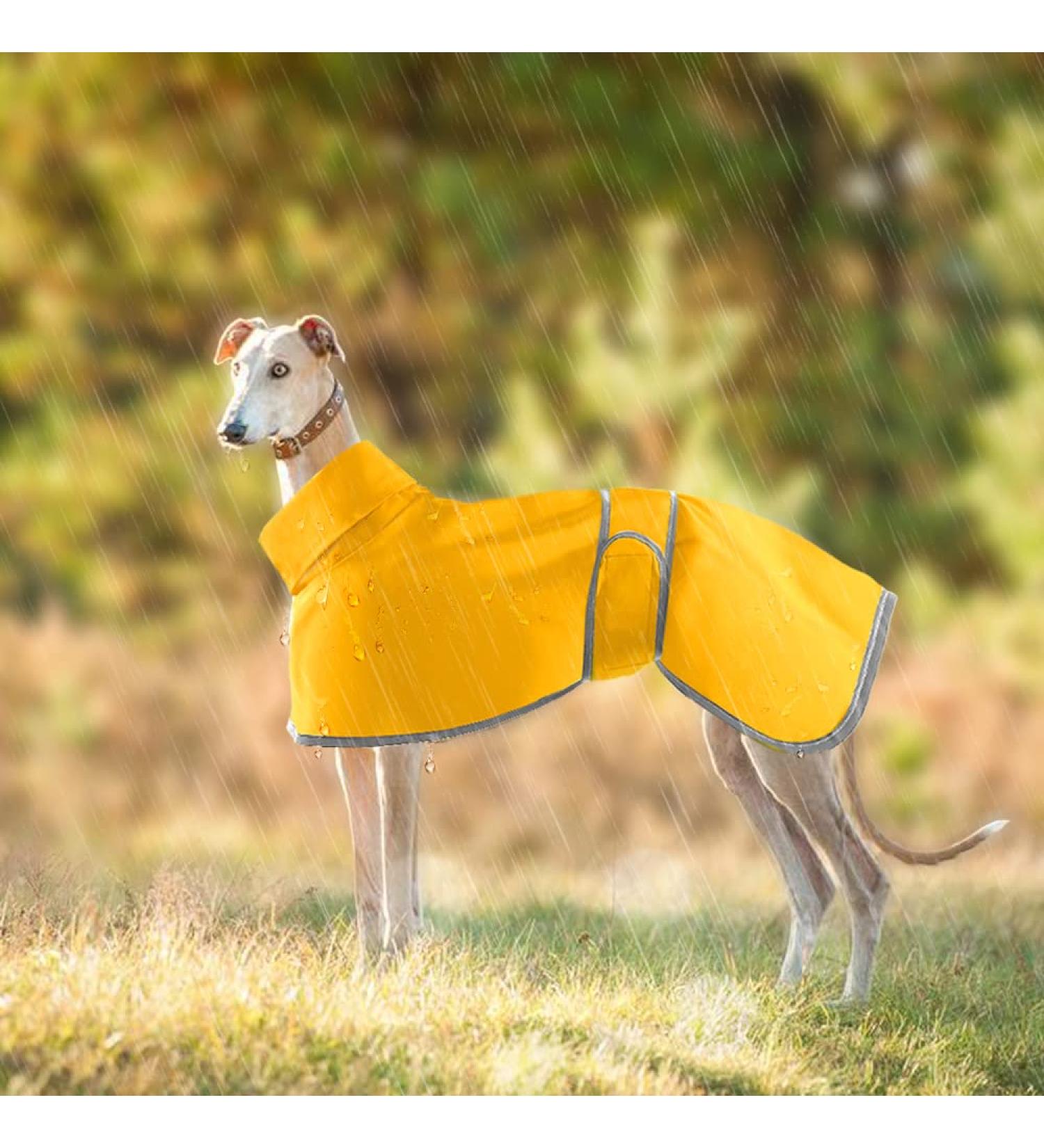 Waterproof Greyhound Rain Coat - Light & Durable Whippet Coat for All Sizes | Summer & Winter Dog Coats - XXX Large Yellow - Buy Online on GoSupps.com