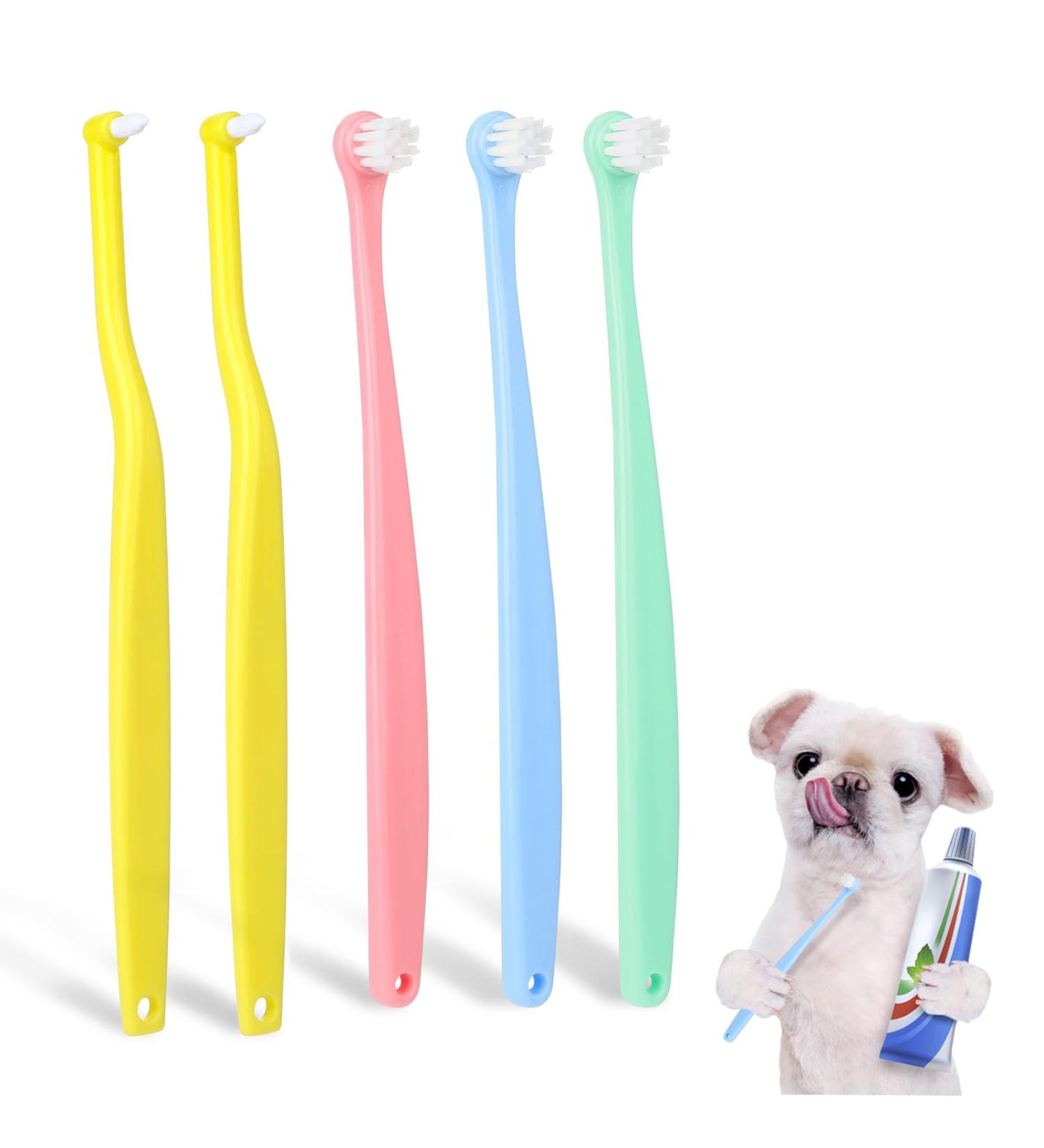 Buy Soft Bristle Pet Toothbrush Set for Small Dogs & Cats - 5 Pcs Round & Pointed Heads Ideal for Puppy & Kitten Dental Care - Buy Online on GoSupps.com