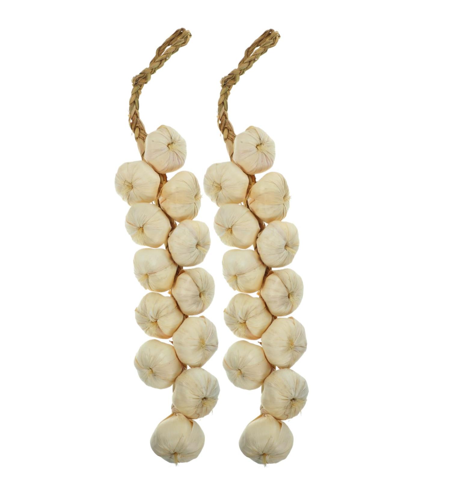 Alipis 12 Pcs Artificial Plants for Outdoors Garlic Hanging Artificial Home Decor Fake Carrots Vegetable Realistic Plant Indoor Artificial Trees for Outdoors Pendant Household White Child Whitex6pcs 11.45cmx6pcs - Buy Online on GoSupps.com