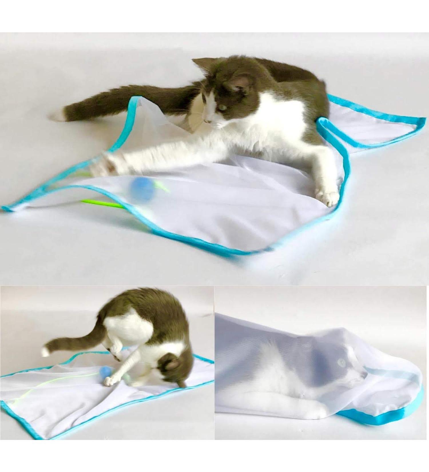 Sheer fun for cats outlet
