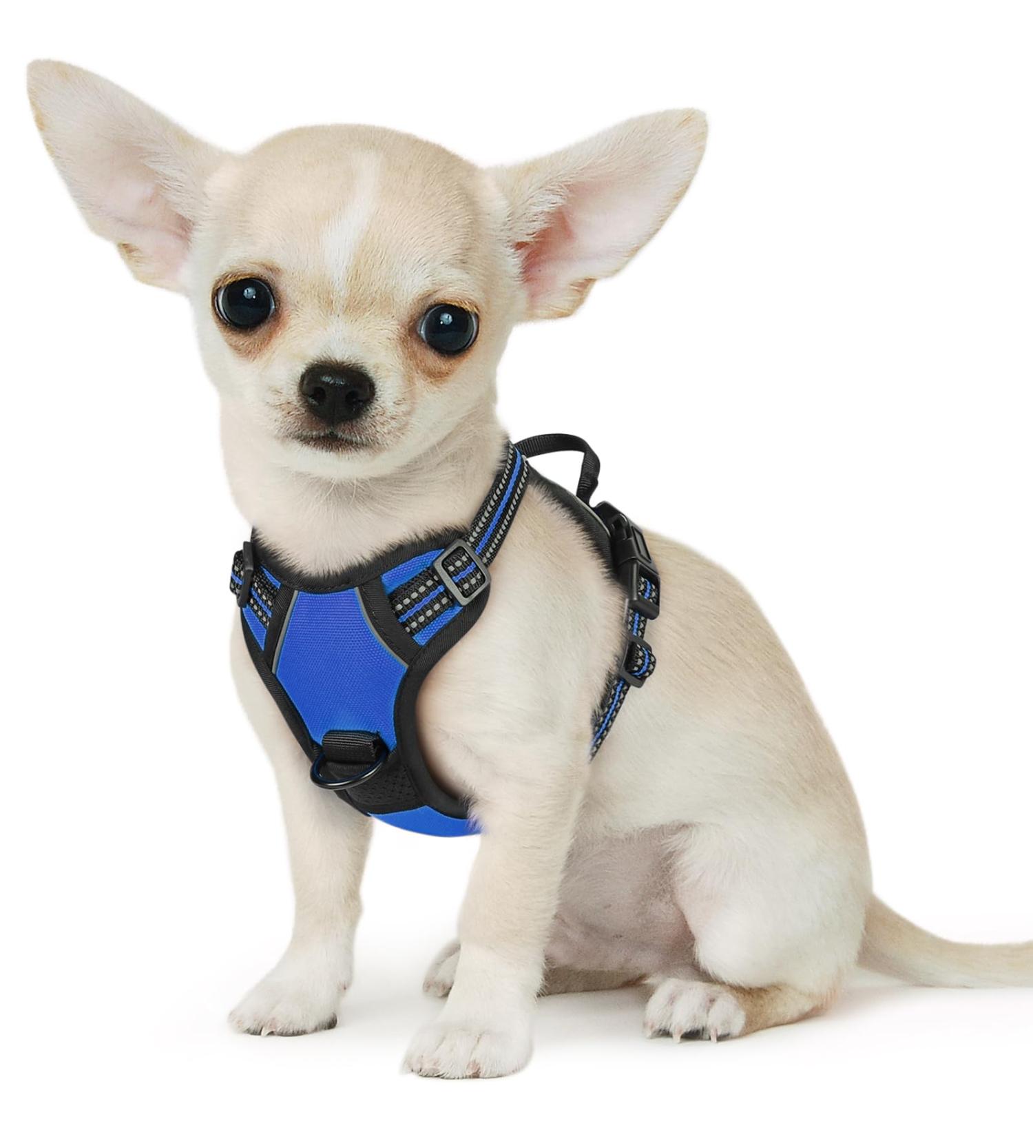 Buy Eagloo Anti-Train Dog Harness for Small Dogs - Adjustable Durable Reflective Strips for Walking & Jogging - XS Blue (1 Pack) - Buy Online on GoSupps.com