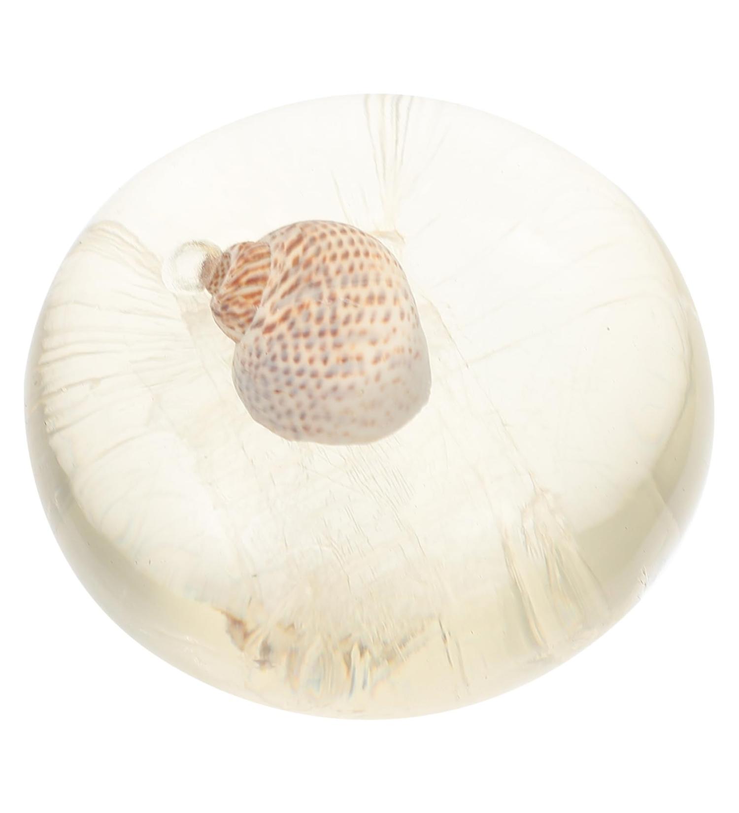 Angoily 1pc Jelly Essential Oil Soap Shower Soap Body Wash Lotion Bar Soap for Men Cleansing Soap Mens Organic Body Wash Safe Soap Face Washing Soap Mild Sesame Oil Glycerin - Buy Online on GoSupps.com