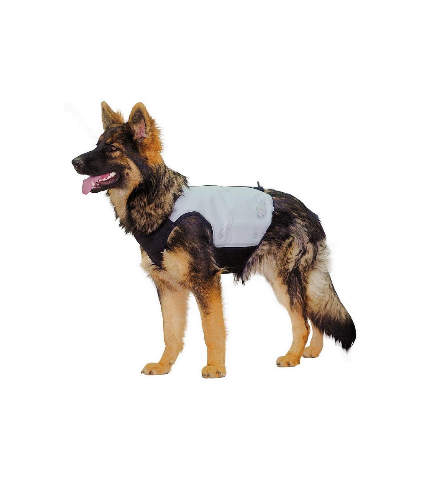 Shop Cani.cool Silver Cooling Vest for Dogs Size M | Perfect for Hot Weather - Buy Online on GoSupps.com