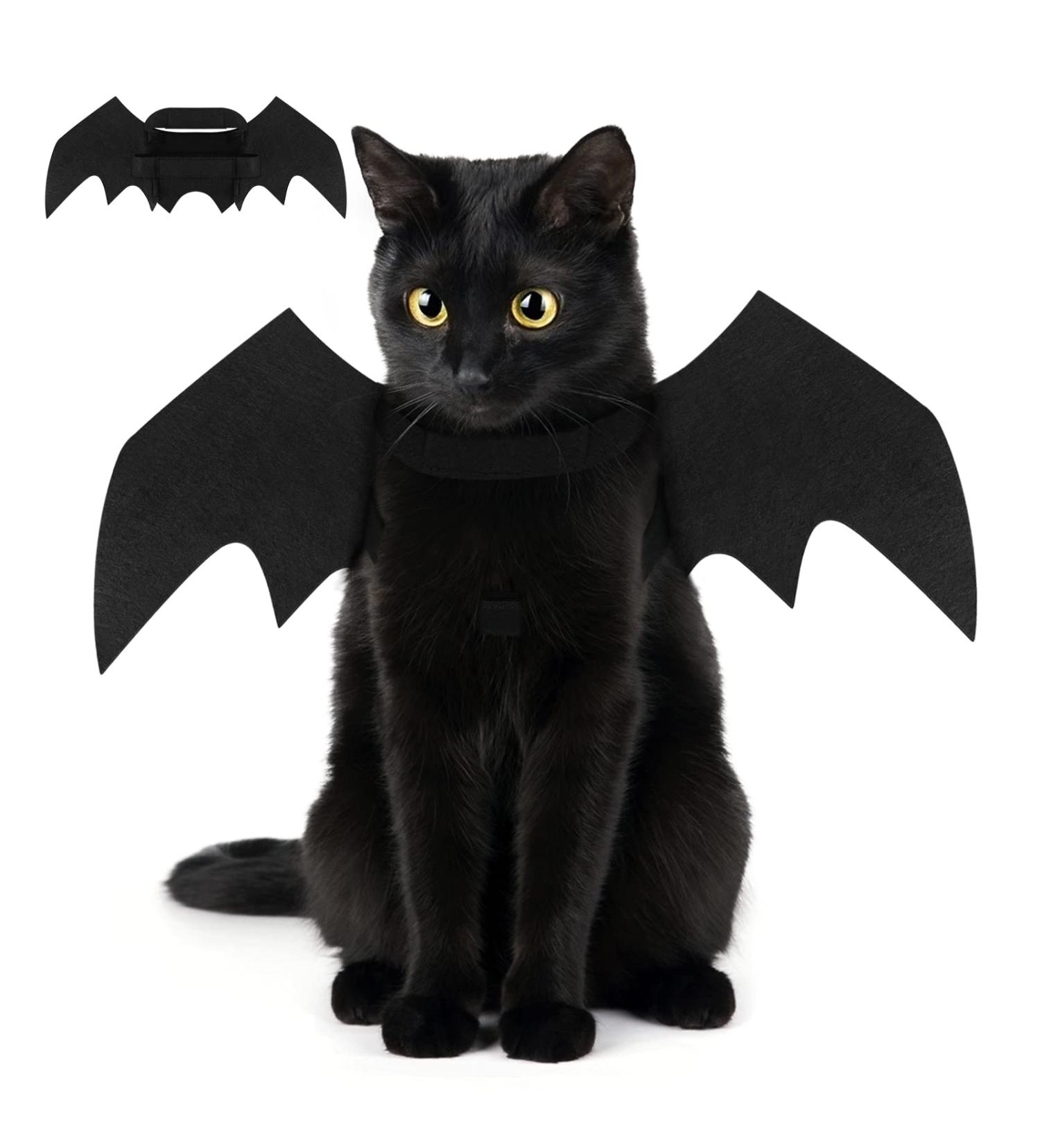 Adorable Cat Bat Costume & Bat Wings for Dogs - Perfect Pet Halloween Outfit - Buy Online on GoSupps.com