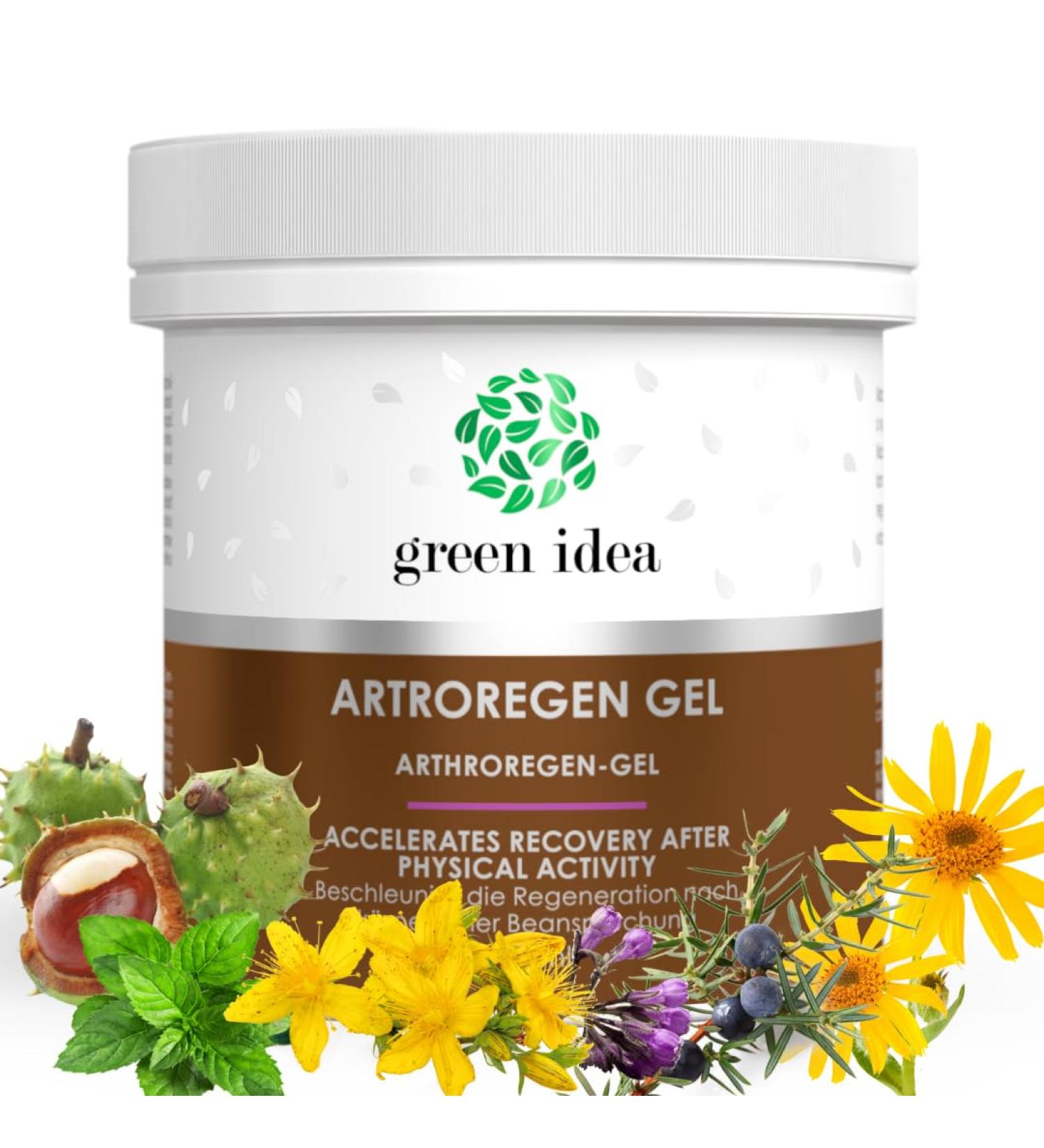 Green Idea Artror Rain Gel | Extra Strong Menthol Gel for Muscle & Joint Pain | Highly Concentrated with Legwell Arnika & Horse Chestnuts | 250 ml Fast Regeneration - Buy Online on GoSupps.com