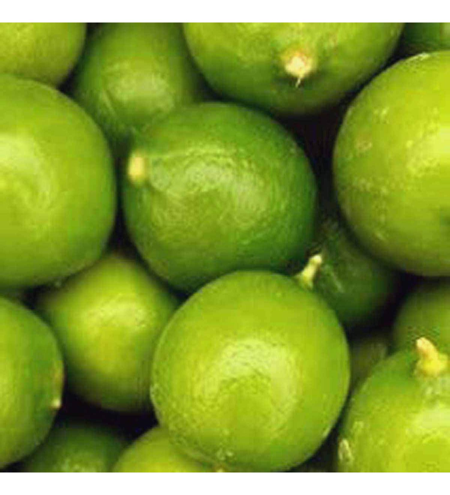 Melissa's Fresh Key Limes, (5 Lb)