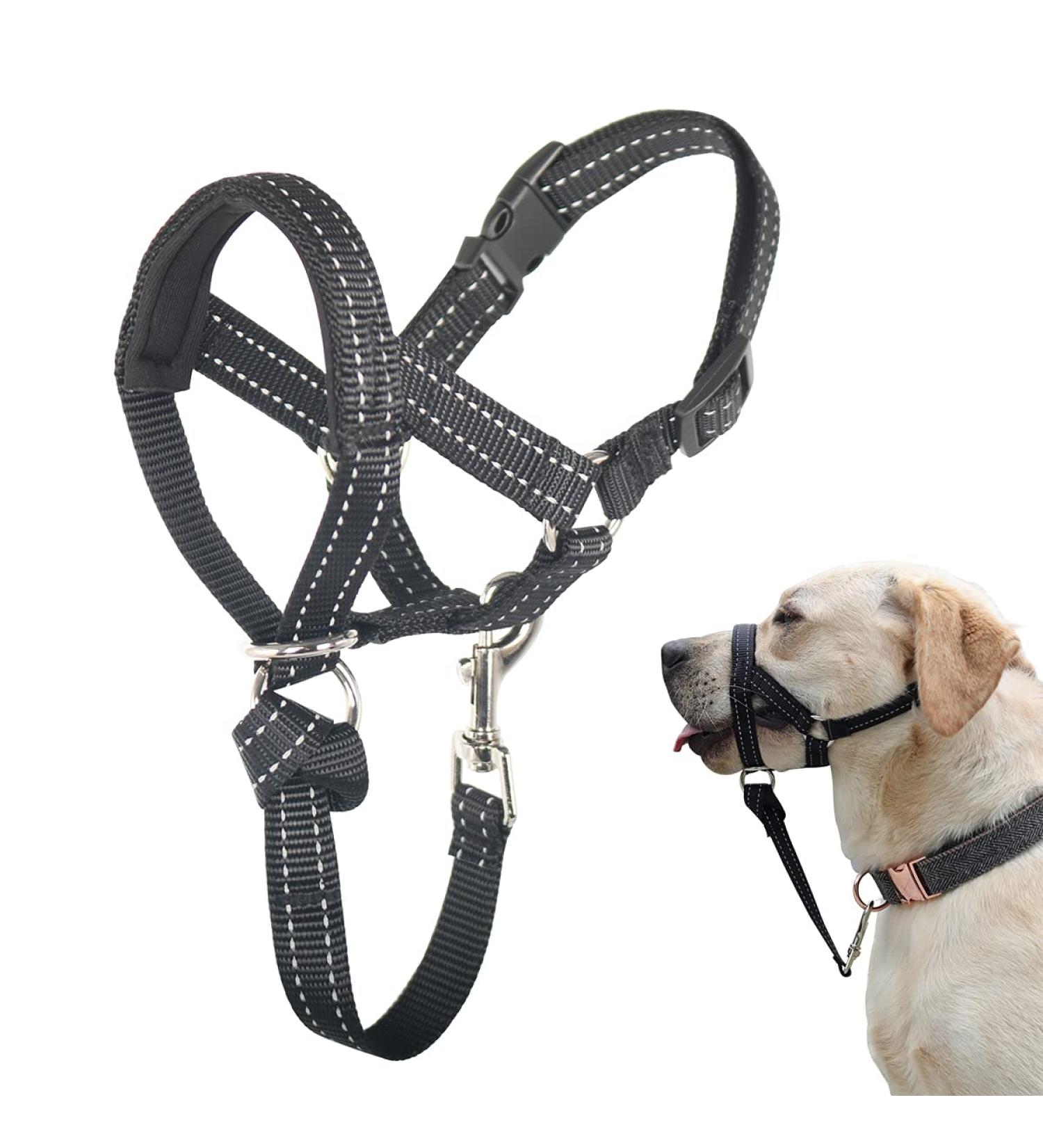 Buy No-Pull Dog Straps with Soft Upholstery - Durable Halter for Medium & Large Dogs | Includes Training Instructions - Buy Online on GoSupps.com