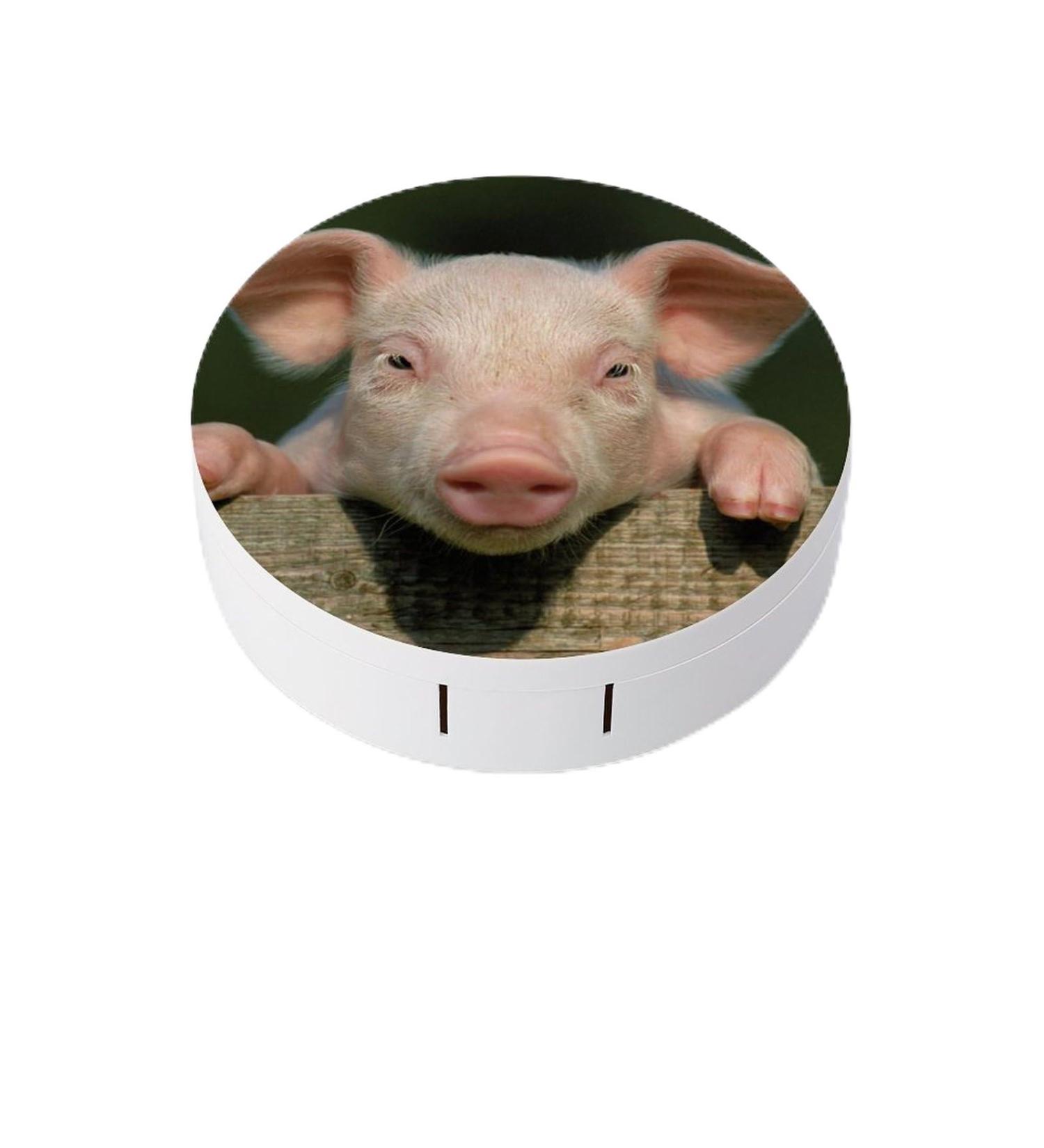 Buy Cute Pig Contact Lens Travel Kit - Portable Contact Box with Mirror for Daily Outdoor Use - Buy Online on GoSupps.com