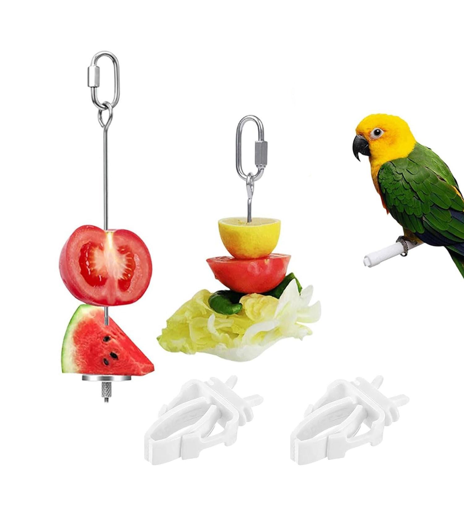 Budgie Food Holder 4PCS Stainless Steel Parrot Skewer Feeder and Plastic Bird Food Clips Set Bird Treats Fruit Stick Holder Clip Foraging Toy for Parrot Budgie Parakeet Cockatiel Cage - Buy Online on GoSupps.com
