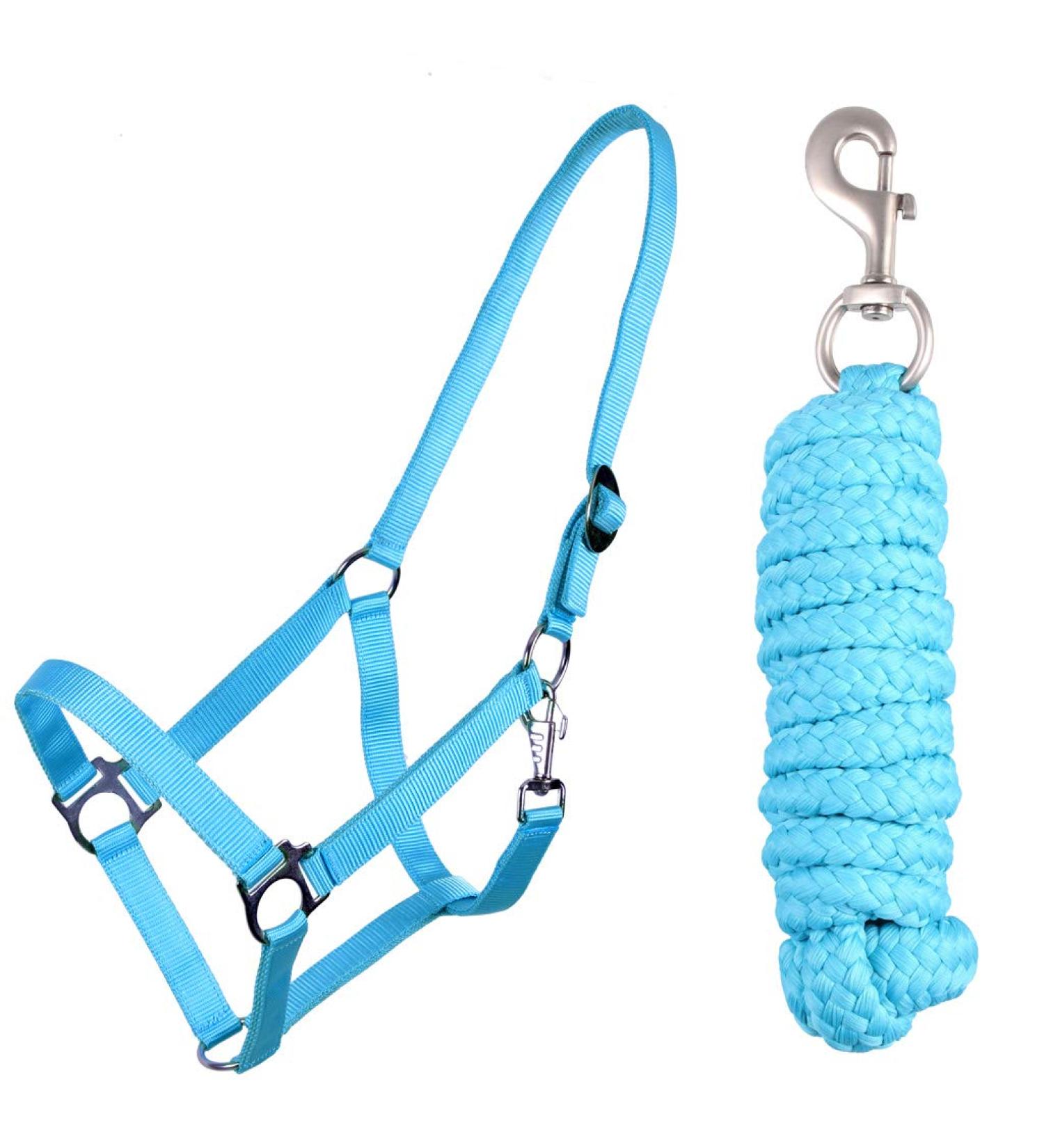 QHP Halter Set Beginner Halter + Lead Rope Heavy Snap Hook (Shetty Sky) Shetty Sky
