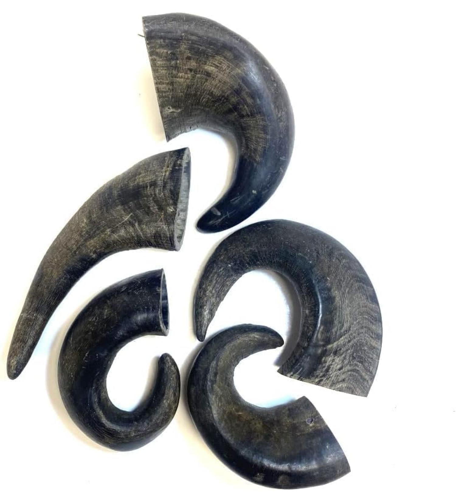 Small Buffalo Horns x 5 Natural Dog Treats Chews LPD - Buy Online on GoSupps.com
