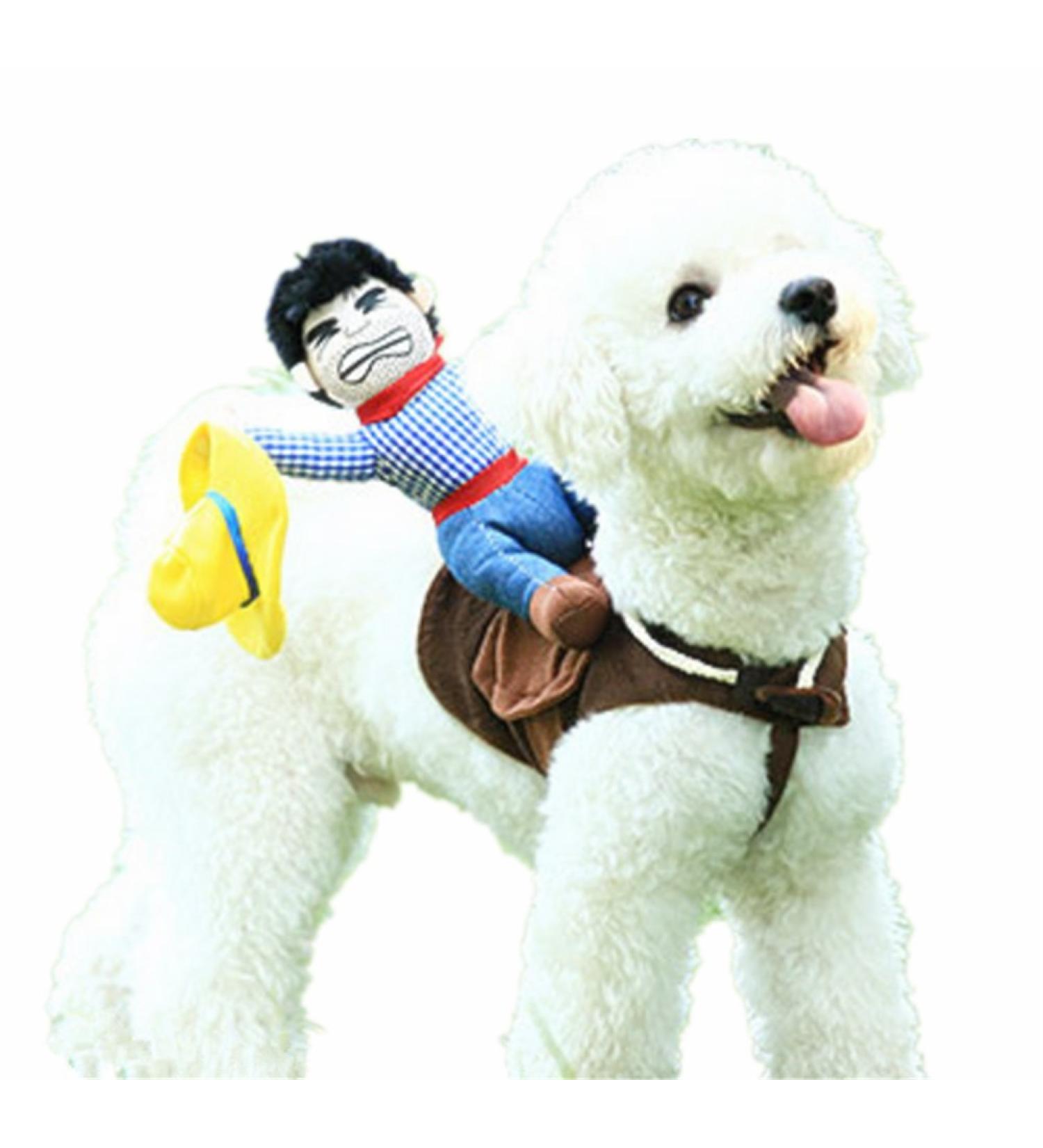 Delifur Cowboy Rider Style Dog Costume - Large | Pet Suit Costume for Dogs - Buy Online on GoSupps.com