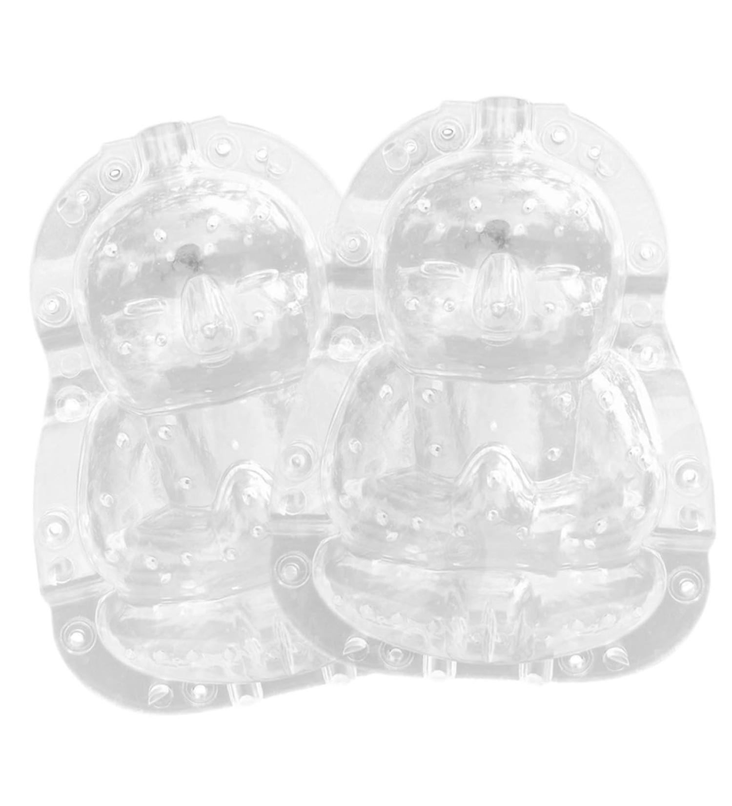 BRIGHTFUFU Plastic Fruit 2pcs Watermelon Tool Duddha Melon Tiny Growth Mold Tools Mould Buddha Adorable Shaping Transparent - Buy Online on GoSupps.com