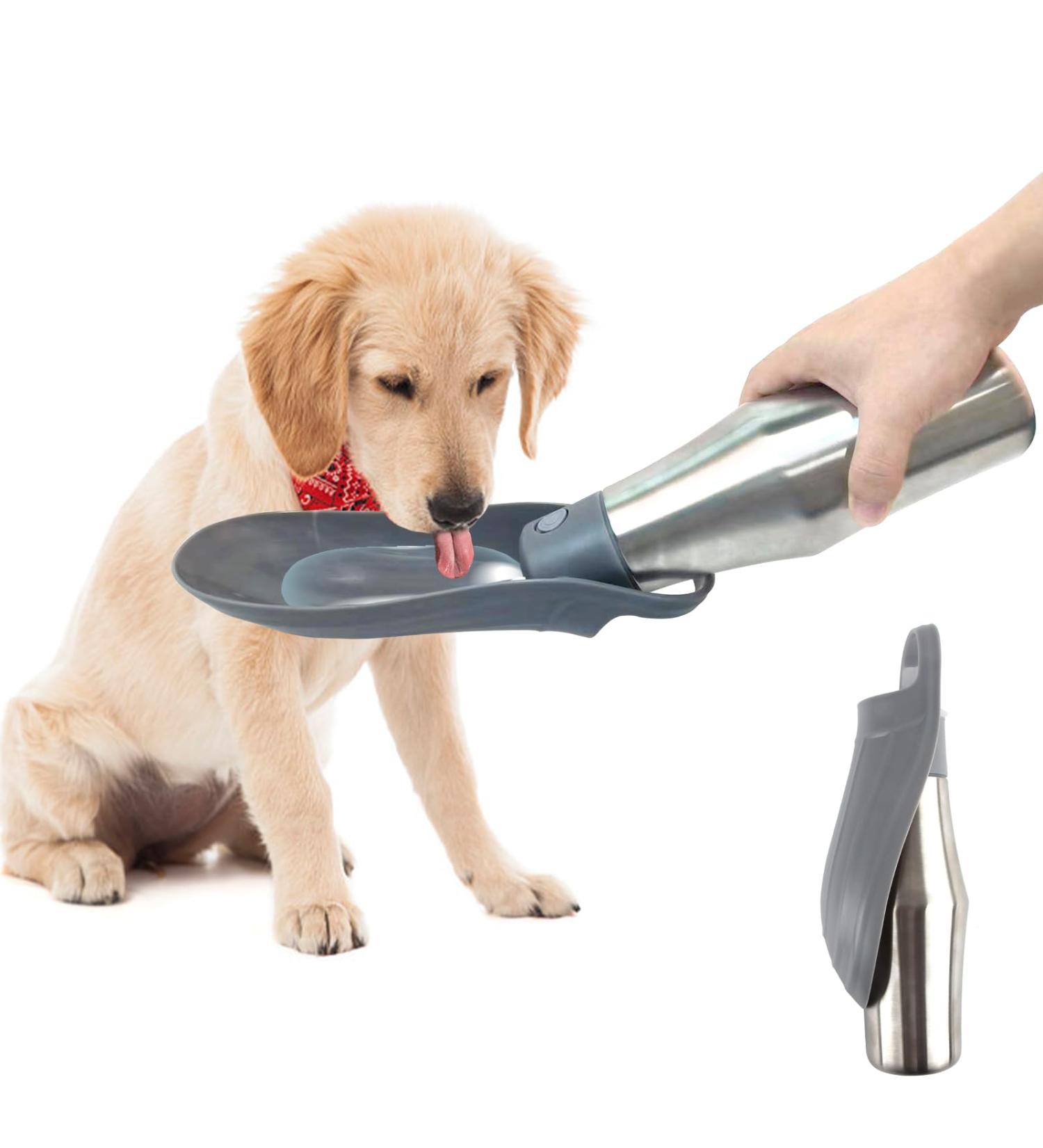 Zoneyan 750ml Stainless Steel Dog Water Bottle - Portable Pet Drinking Bottle for Travel Parks Camping & Hiking - Buy Online on GoSupps.com