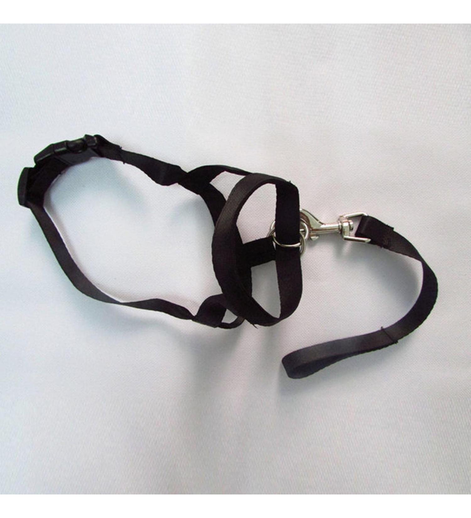 JimAndAlice Adjustable Harness Gentle Leader Belt For Dog Collar Dog Halter Head Collar Training Leash Leader No Pull Bite Straps Black S - Buy Online on GoSupps.com