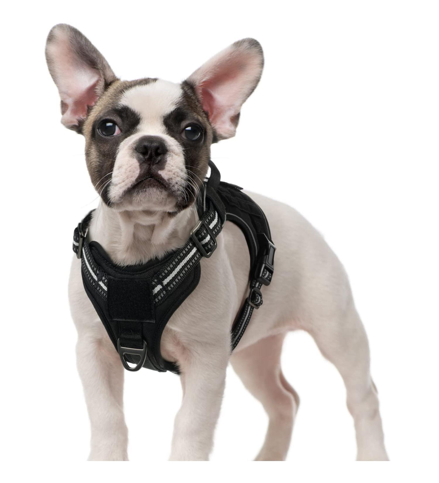 Rabbitgoo Small Dog Harness - Adjustable Tactical Harness with Metal Buckles Anti-Train Design Durable & Wear-Resistant for Hiking (S Black) - 1 Pack - Buy Online on GoSupps.com